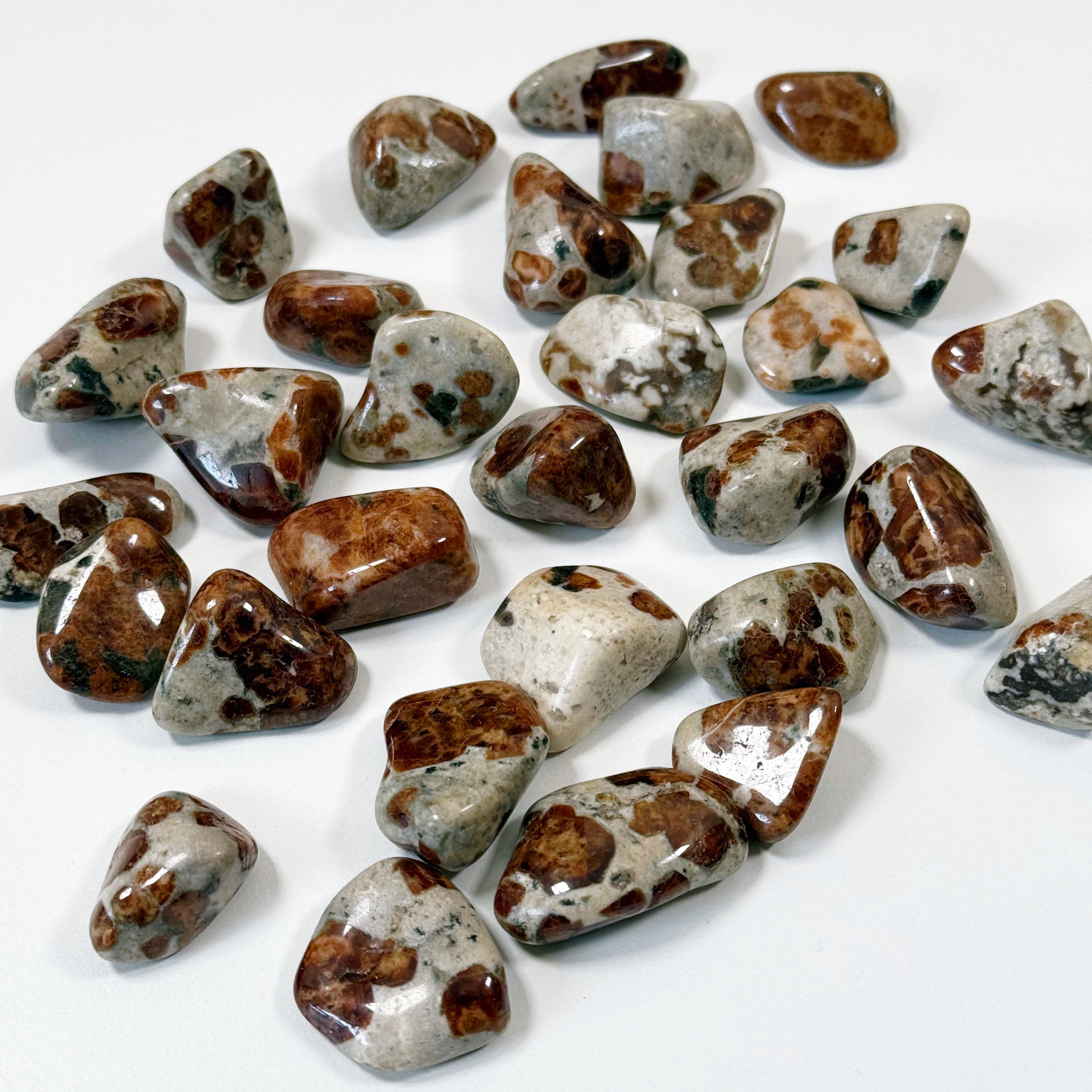 GARNET IN WOLLASTONITE TUMBLE - garnet, garnet in wollastonite, leo season, pocket crystal, polished, tucson mini drop, tumble, wollastonite - The Mineral Maven
