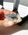 HEALING BUDDY - agate, crystal buddy, druzy agate, geode, googly agate, googly eye, googly eye agate, healing buddy, holiday vibes, oco geode, pocket crystal, pocket crystals, pocket stone - The Mineral Maven