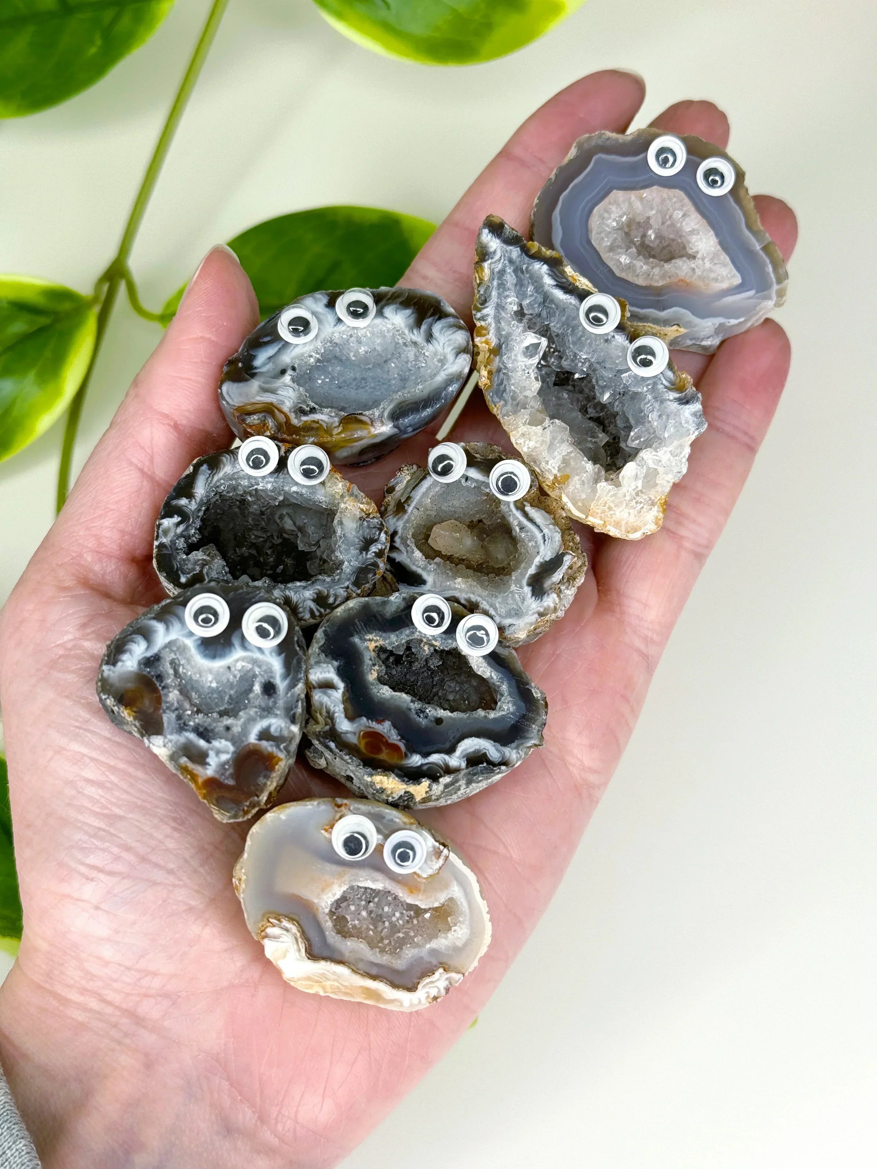 HEALING BUDDY - agate, crystal buddy, druzy agate, geode, googly agate, googly eye, googly eye agate, healing buddy, holiday vibes, oco geode, pocket crystal, pocket crystals, pocket stone - The Mineral Maven