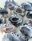 HEALING BUDDY - agate, crystal buddy, druzy agate, geode, googly agate, googly eye, googly eye agate, healing buddy, holiday vibes, oco geode, pocket crystal, pocket crystals, pocket stone - The Mineral Maven