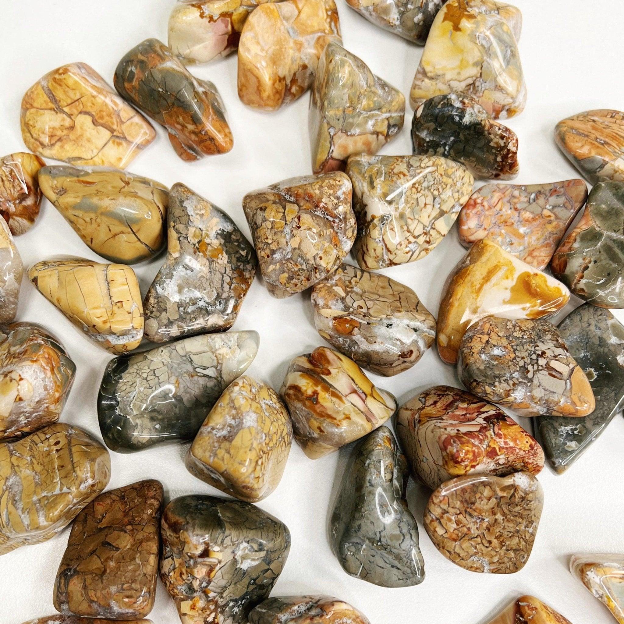 IBIS JASPER TUMBLE - 33 bday, 444 sale, Black Friday sale, brecciated jasper, bulk, emotional support, end of year sale, holiday sale, ibis jasper, jasper, new year sale, pocket crystal, pocket stone, quartz, spring equinox, tumble - The Mineral Maven