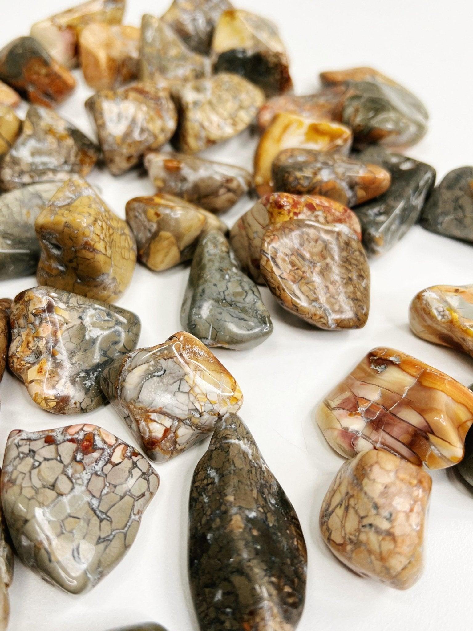 IBIS JASPER TUMBLE - 33 bday, 444 sale, Black Friday sale, brecciated jasper, bulk, emotional support, end of year sale, holiday sale, ibis jasper, jasper, new year sale, pocket crystal, pocket stone, quartz, spring equinox, tumble - The Mineral Maven