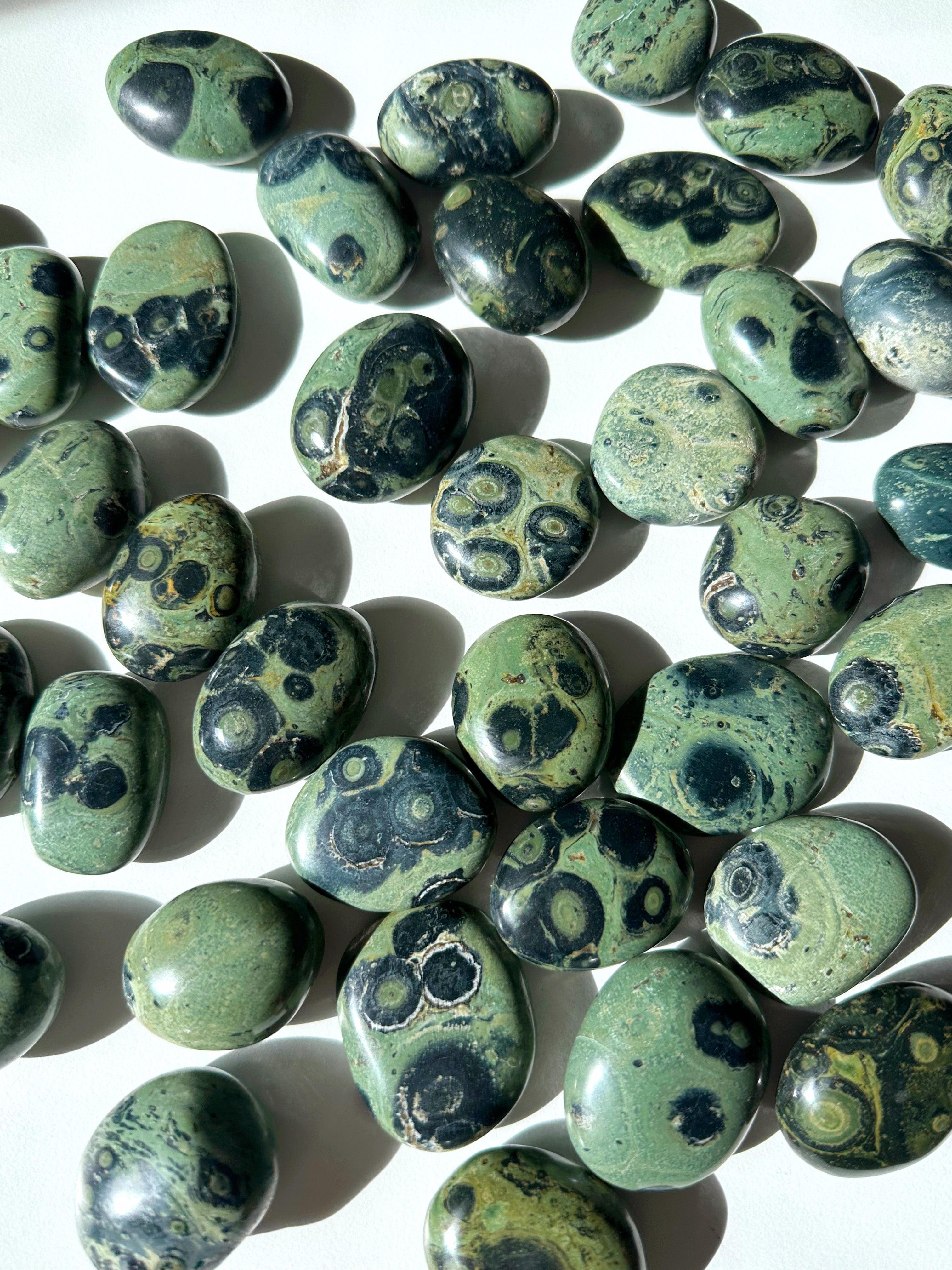 KAMBABA JASPER PEBBLE - 33 bday, 444 sale, Black Friday sale, calm gift bundle, end of year sale, holiday sale, kambaba, kambaba jasper, palm stone, pebble, pebbles, pocket crystal, pocket stone, tumble, tumbled stone, tumbles - The Mineral Maven