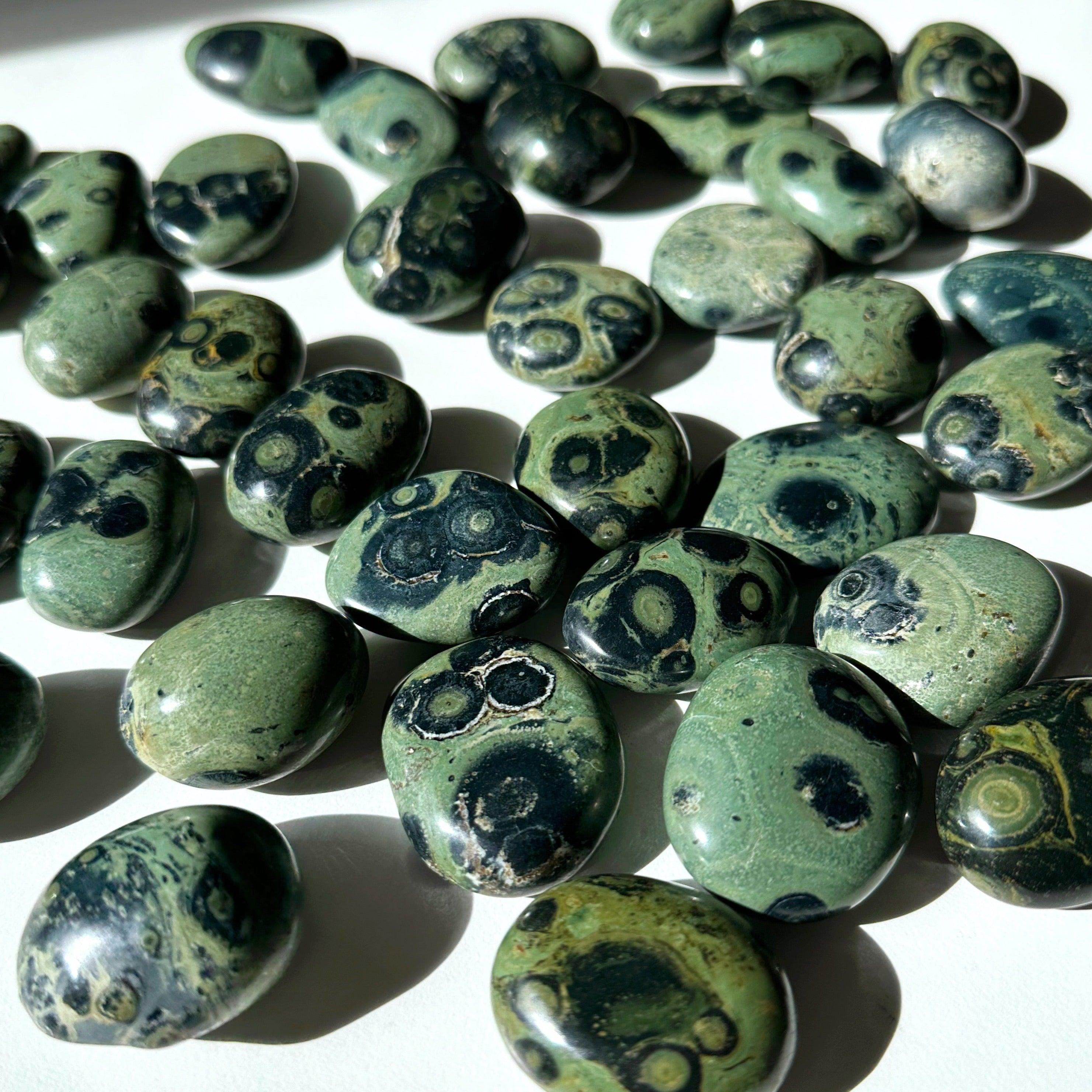 KAMBABA JASPER PEBBLE - 33 bday, 444 sale, Black Friday sale, calm gift bundle, end of year sale, holiday sale, kambaba, kambaba jasper, palm stone, pebble, pebbles, pocket crystal, pocket stone, tumble, tumbled stone, tumbles - The Mineral Maven