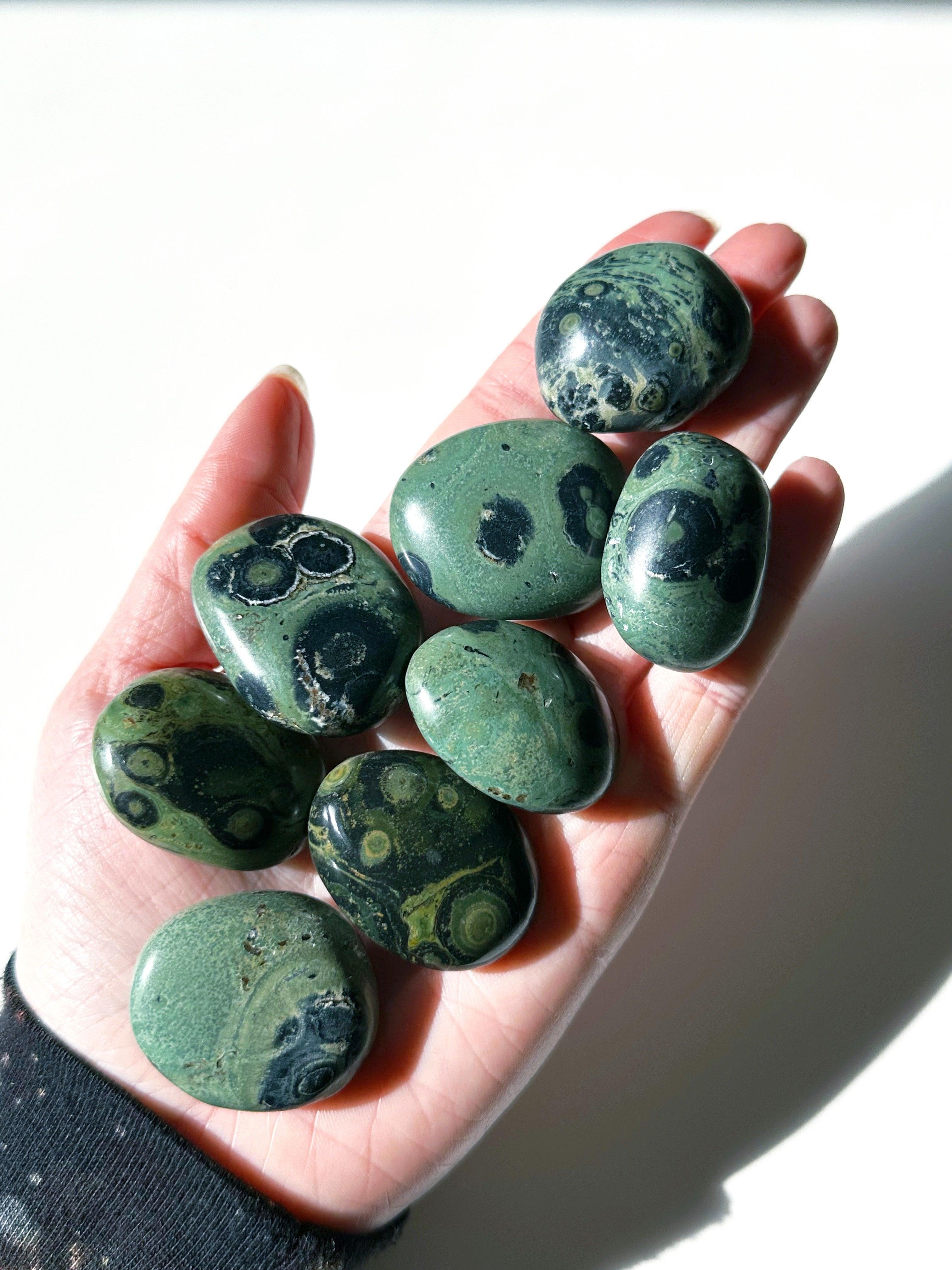 KAMBABA JASPER PEBBLE - 33 bday, 444 sale, Black Friday sale, calm gift bundle, end of year sale, holiday sale, kambaba, kambaba jasper, palm stone, pebble, pebbles, pocket crystal, pocket stone, tumble, tumbled stone, tumbles - The Mineral Maven