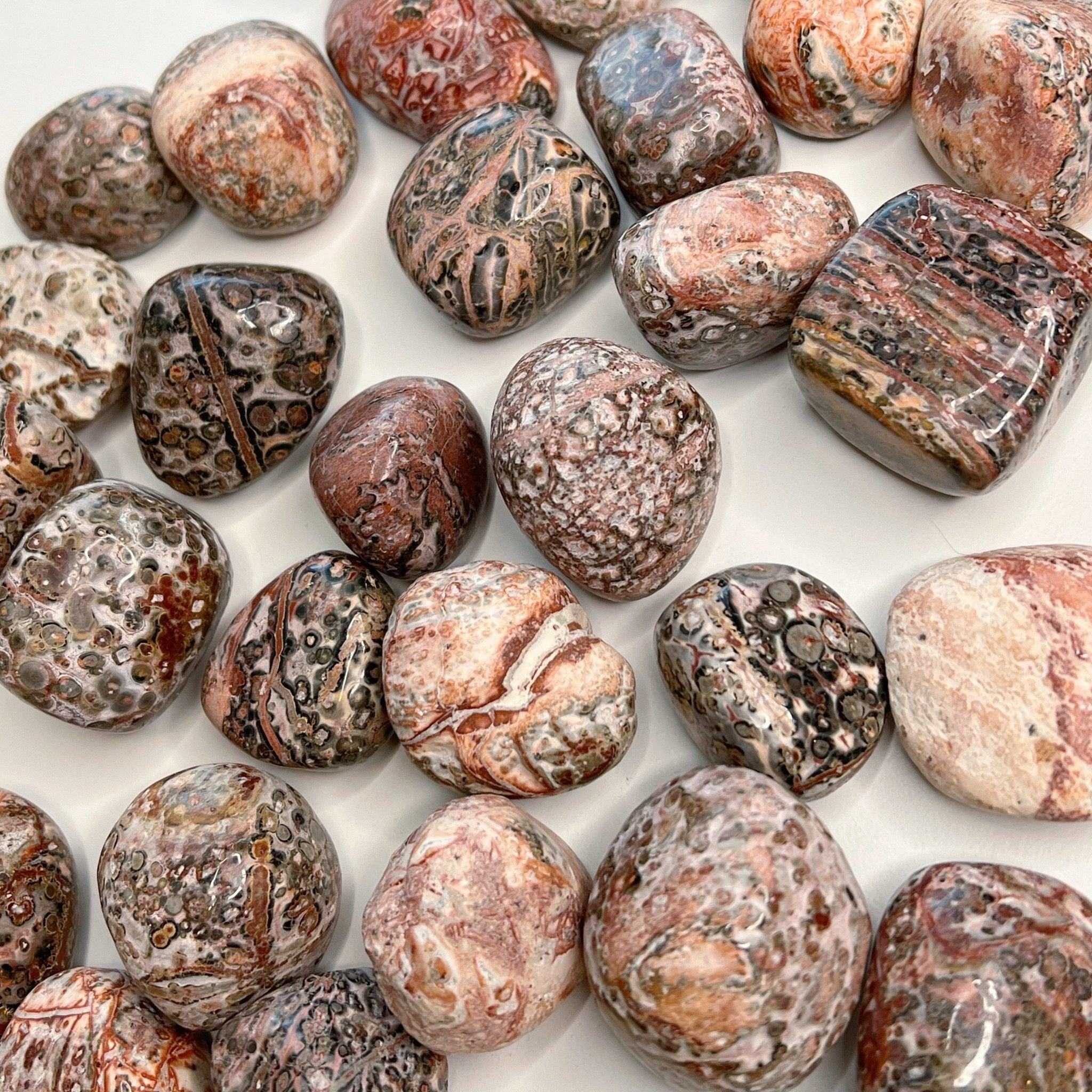 LEOPARDSKIN JASPER CHONK - 33 bday, Black Friday sale, bulk, connect to animals, emotional support, end of year sale, flash sale, grounding, holiday sale, jasper, leopard, leopardskin, leopardskin jasper, new year sale, old, pocket crystal, protection, stabilizing, stress relief, tumble, tumbled stone, tumbles - The Mineral Maven