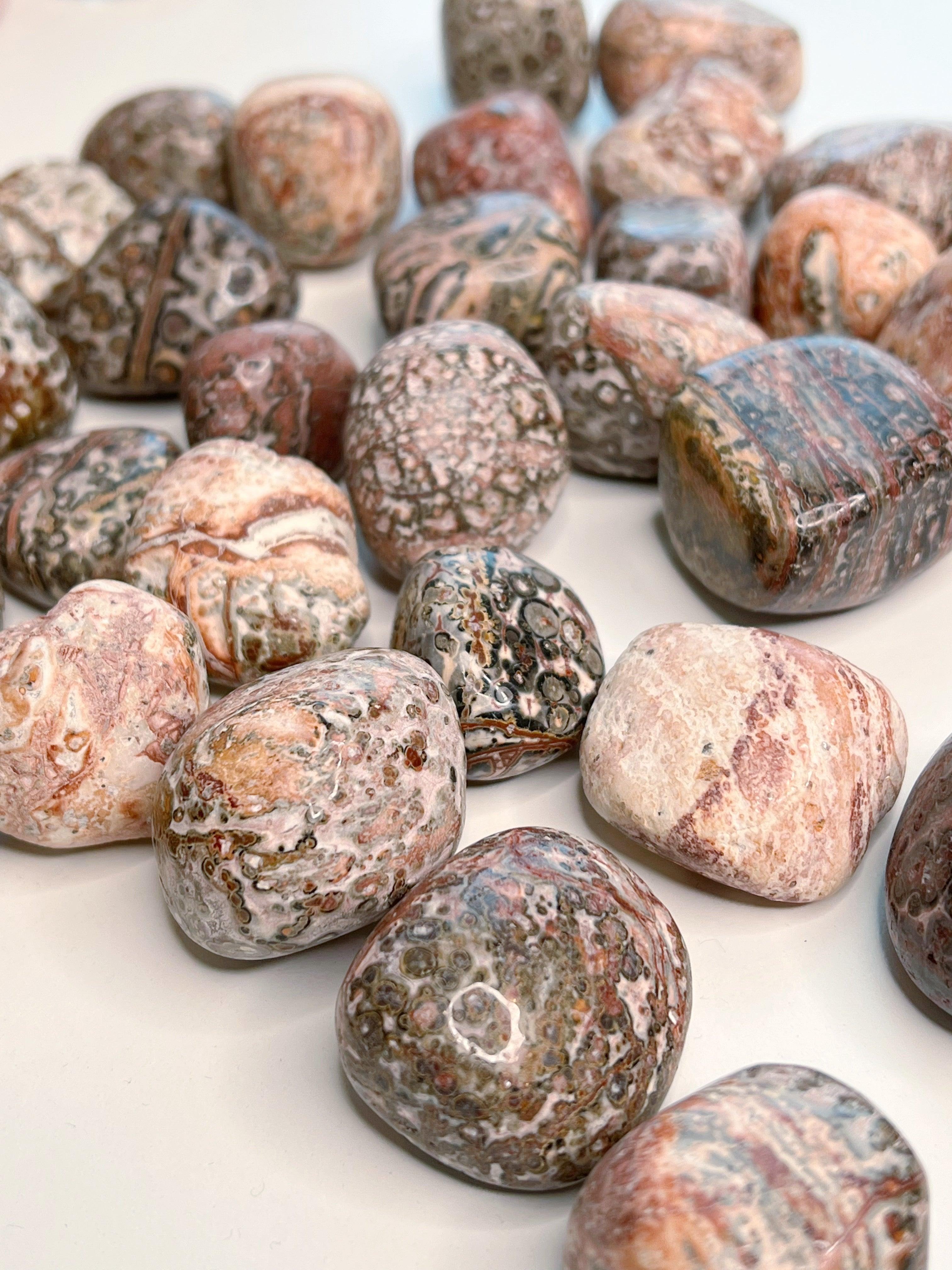 LEOPARDSKIN JASPER CHONK - 33 bday, bulk, connect to animals, emotional support, end of year sale, flash sale, grounding, holiday sale, jasper, leopard, leopardskin, leopardskin jasper, new year sale, old, pocket crystal, protection, stabilizing, stress relief, tumble, tumbled stone, tumbles - The Mineral Maven