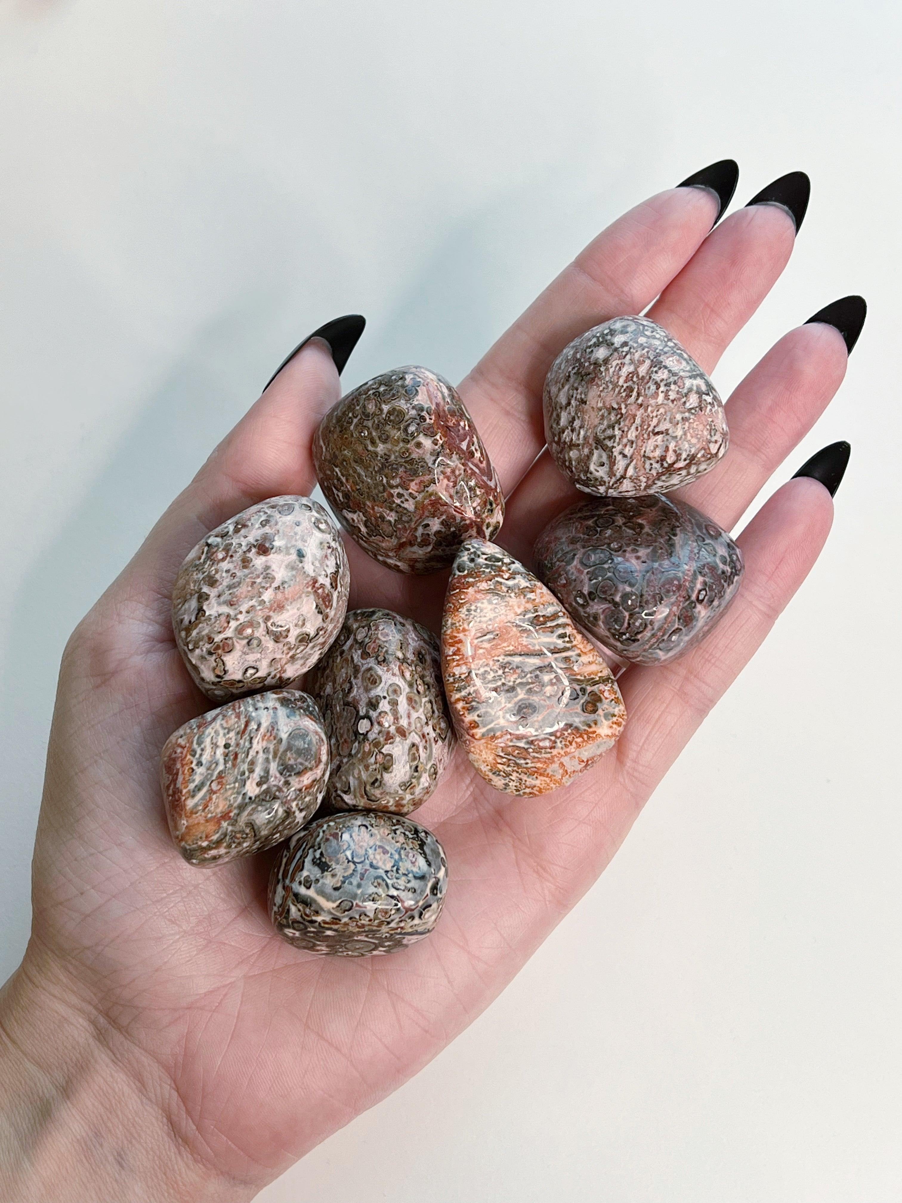 LEOPARDSKIN JASPER CHONK - 33 bday, bulk, connect to animals, emotional support, end of year sale, flash sale, grounding, holiday sale, jasper, leopard, leopardskin, leopardskin jasper, new year sale, old, pocket crystal, protection, stabilizing, stress relief, tumble, tumbled stone, tumbles - The Mineral Maven