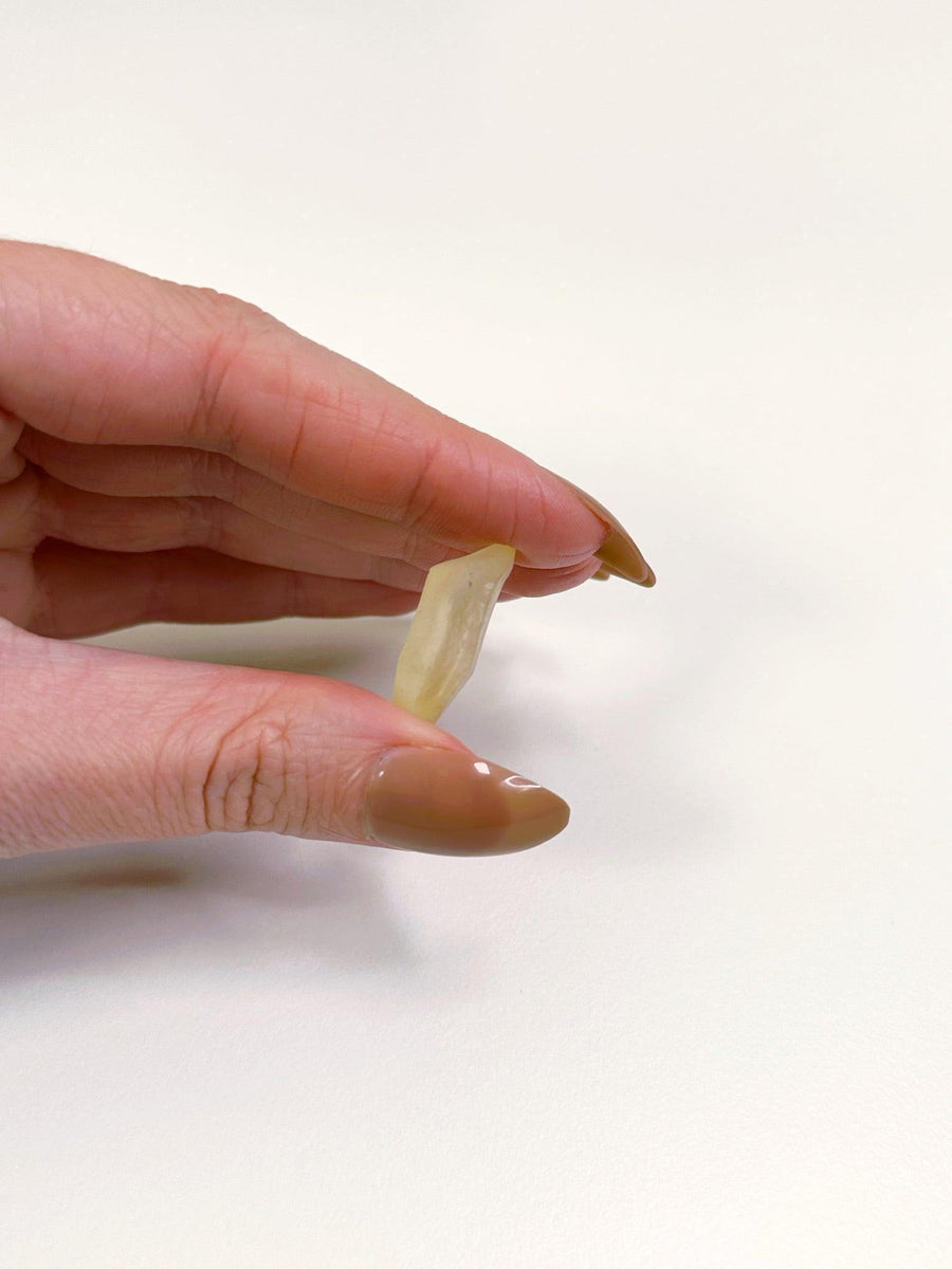 LIBYAN DESERT GLASS 7 - libyan desert glass, new year new crystals, tektite - The Mineral Maven