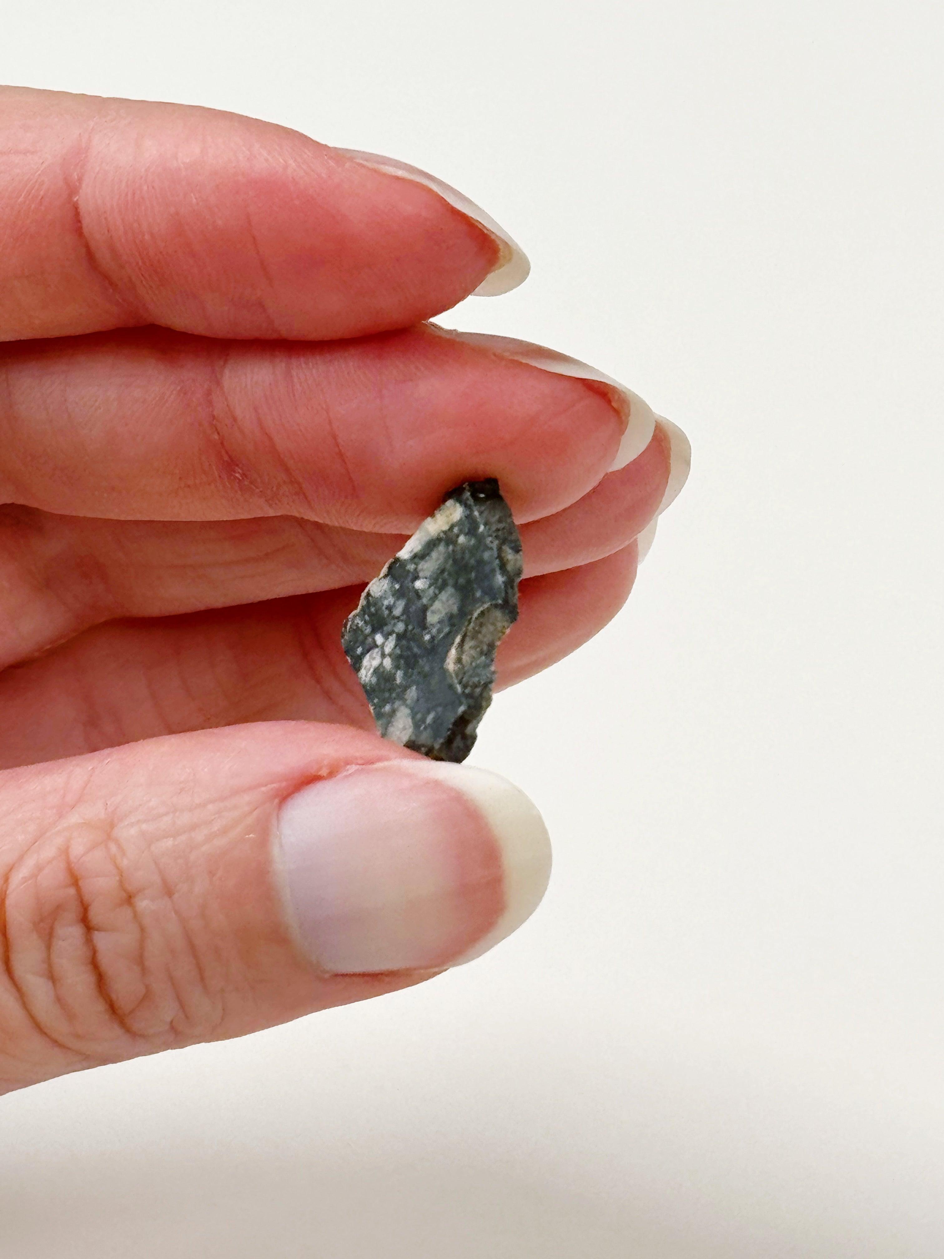 LUNAR METEORITE 1 - feldspathic breccia, lunar meteorite, meteorite, moon, moon meteorite, recently added - The Mineral Maven