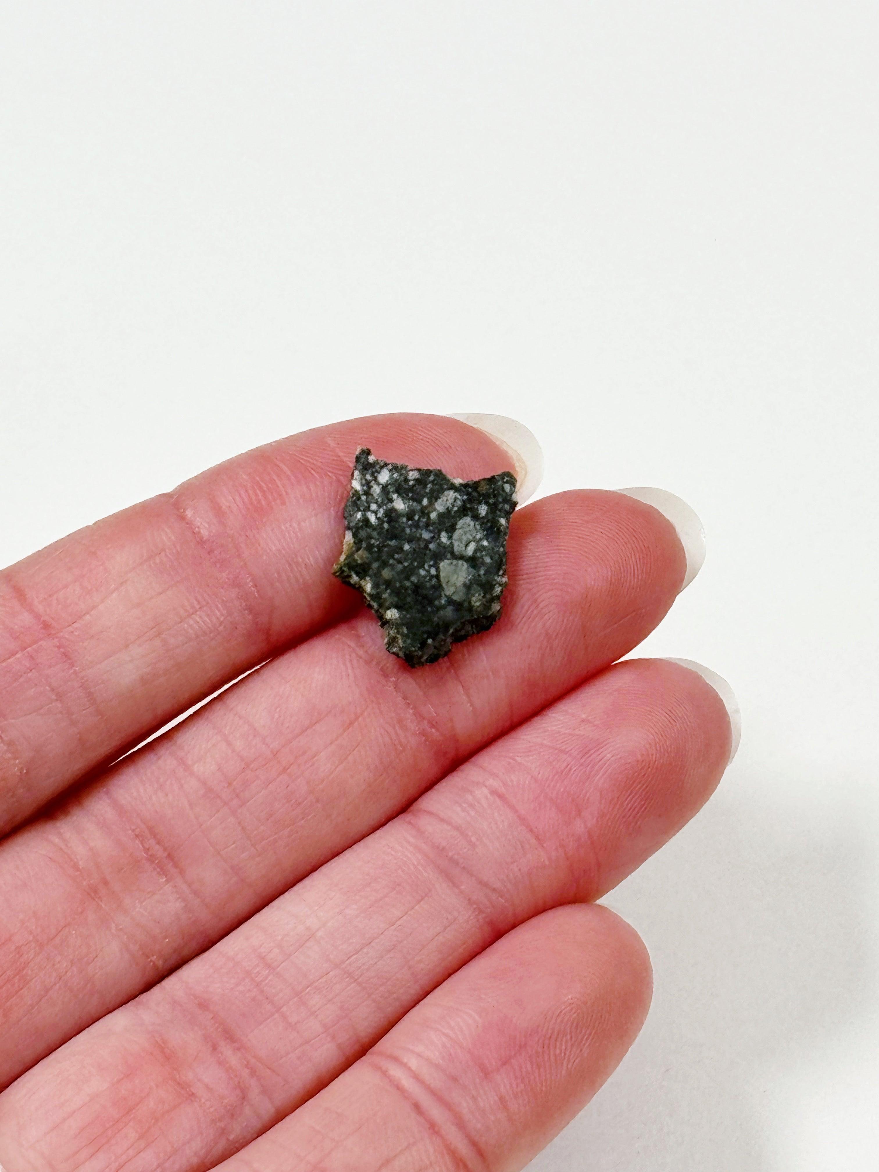 LUNAR METEORITE 2 - feldspathic breccia, lunar meteorite, meteorite, moon, moon meteorite, recently added - The Mineral Maven