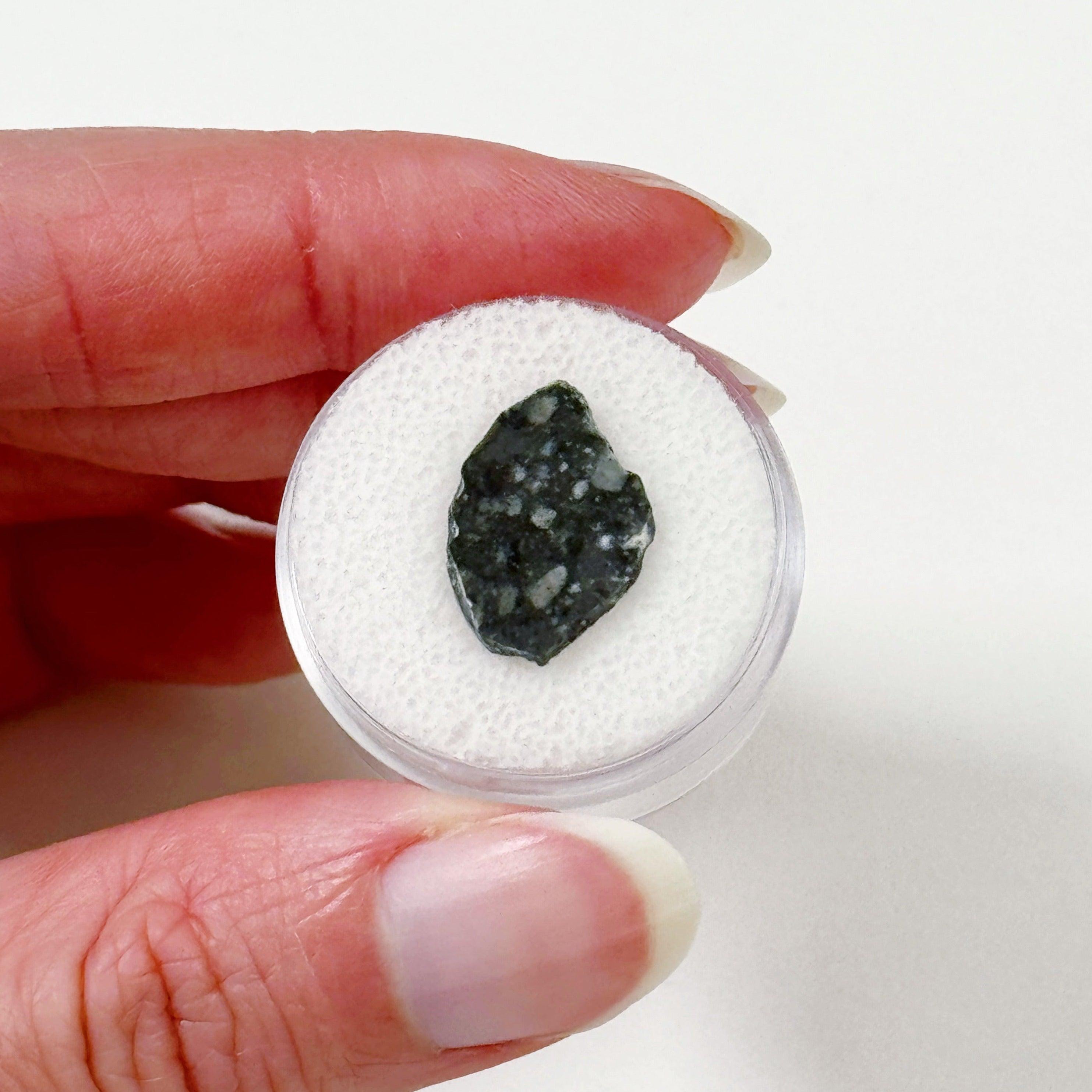 LUNAR METEORITE 3 - feldspathic breccia, lunar meteorite, meteorite, moon, moon meteorite, recently added - The Mineral Maven
