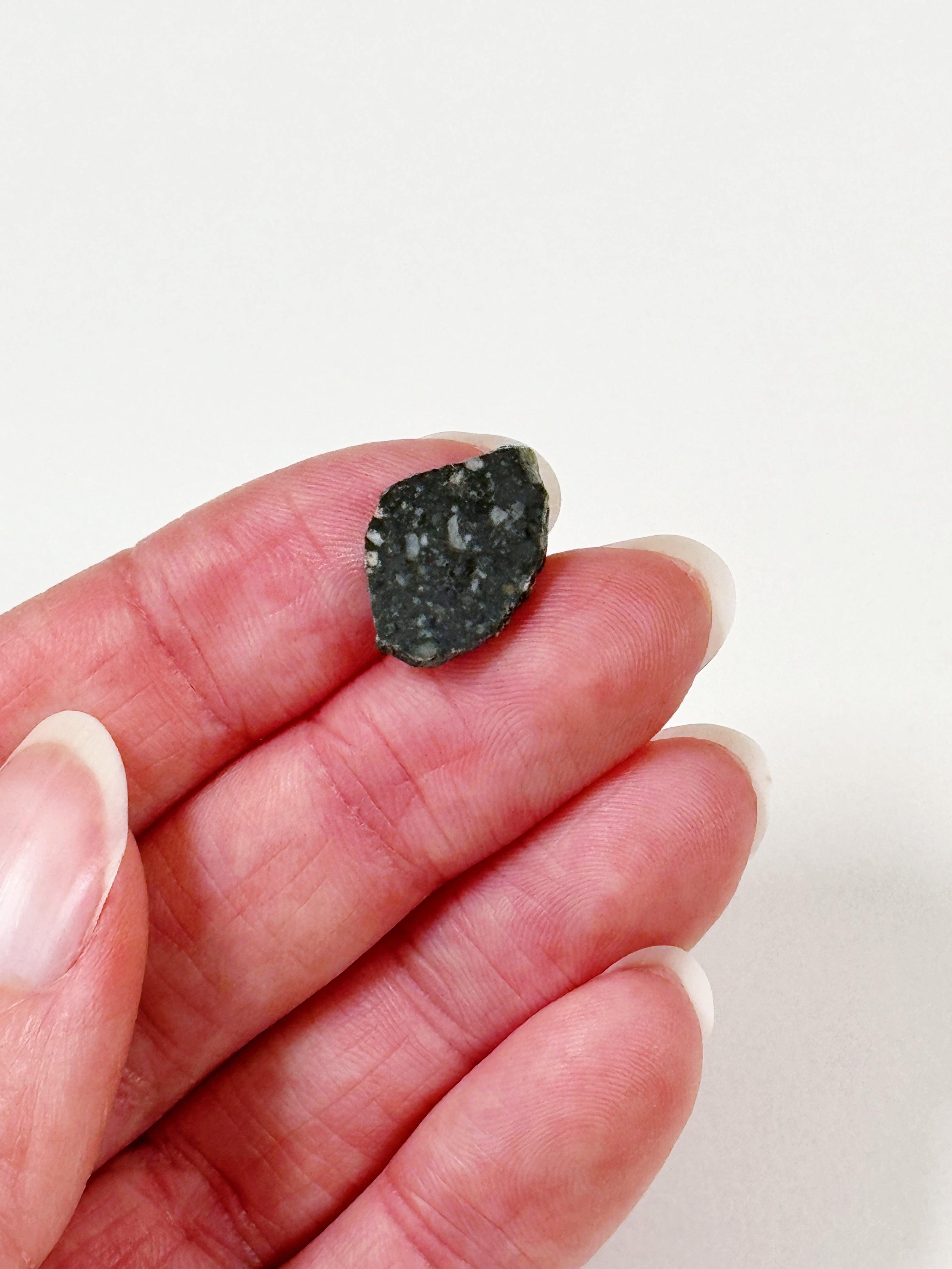 LUNAR METEORITE 3 - feldspathic breccia, lunar meteorite, meteorite, moon, moon meteorite, recently added - The Mineral Maven