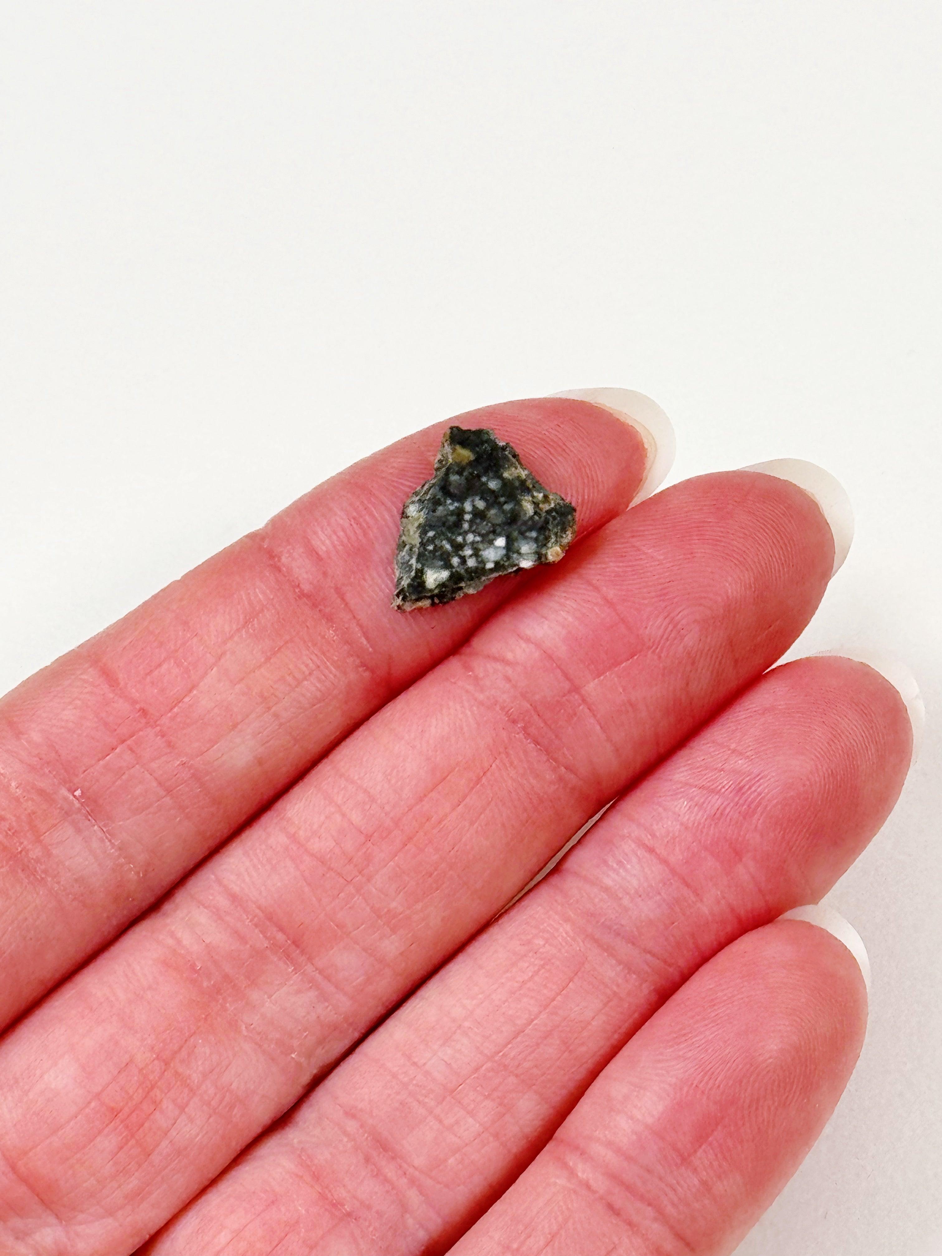 LUNAR METEORITE 4 - feldspathic breccia, lunar meteorite, meteorite, moon, moon meteorite, recently added - The Mineral Maven