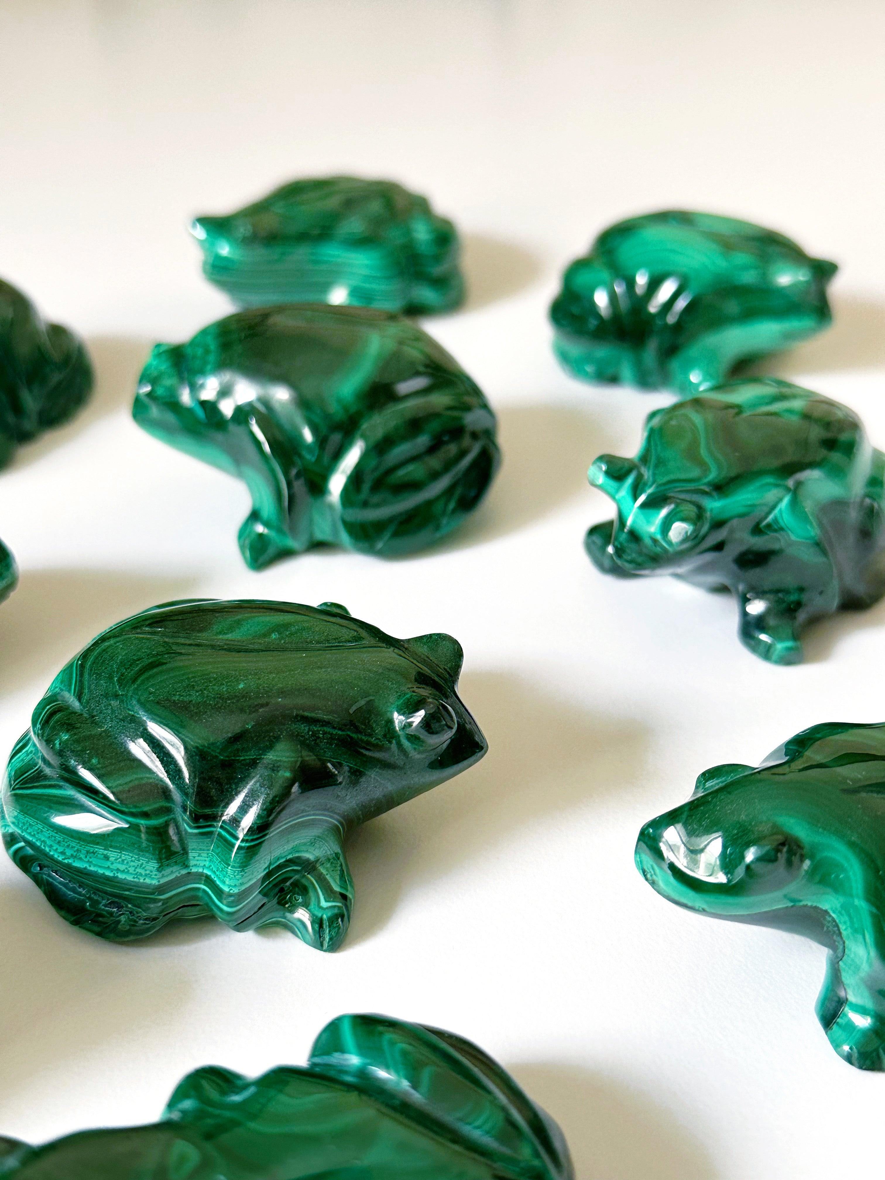 MALACHITE FROG - 33 bday, 444 sale, holiday sale, malachite, new year sale, polished, polished stone, solstice, transform gift bundle - The Mineral Maven