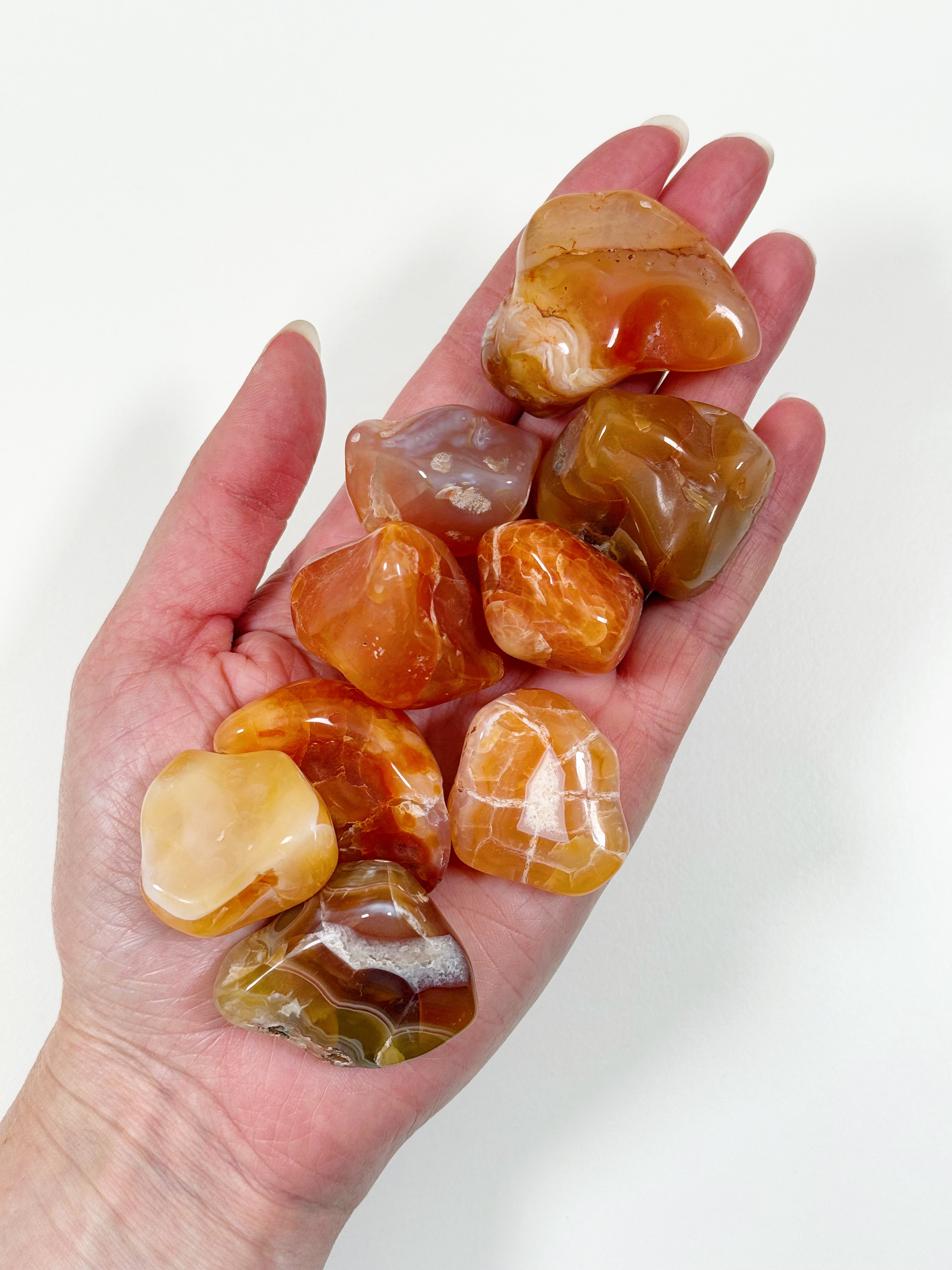 MALAWI CARNELIAN AGATE TUMBLE - career, carnelian, crystals for beginners, emotional support, fertility, Leo szn, pocket crystal, pocket stone, spring things, tumble, tumbled stone - The Mineral Maven