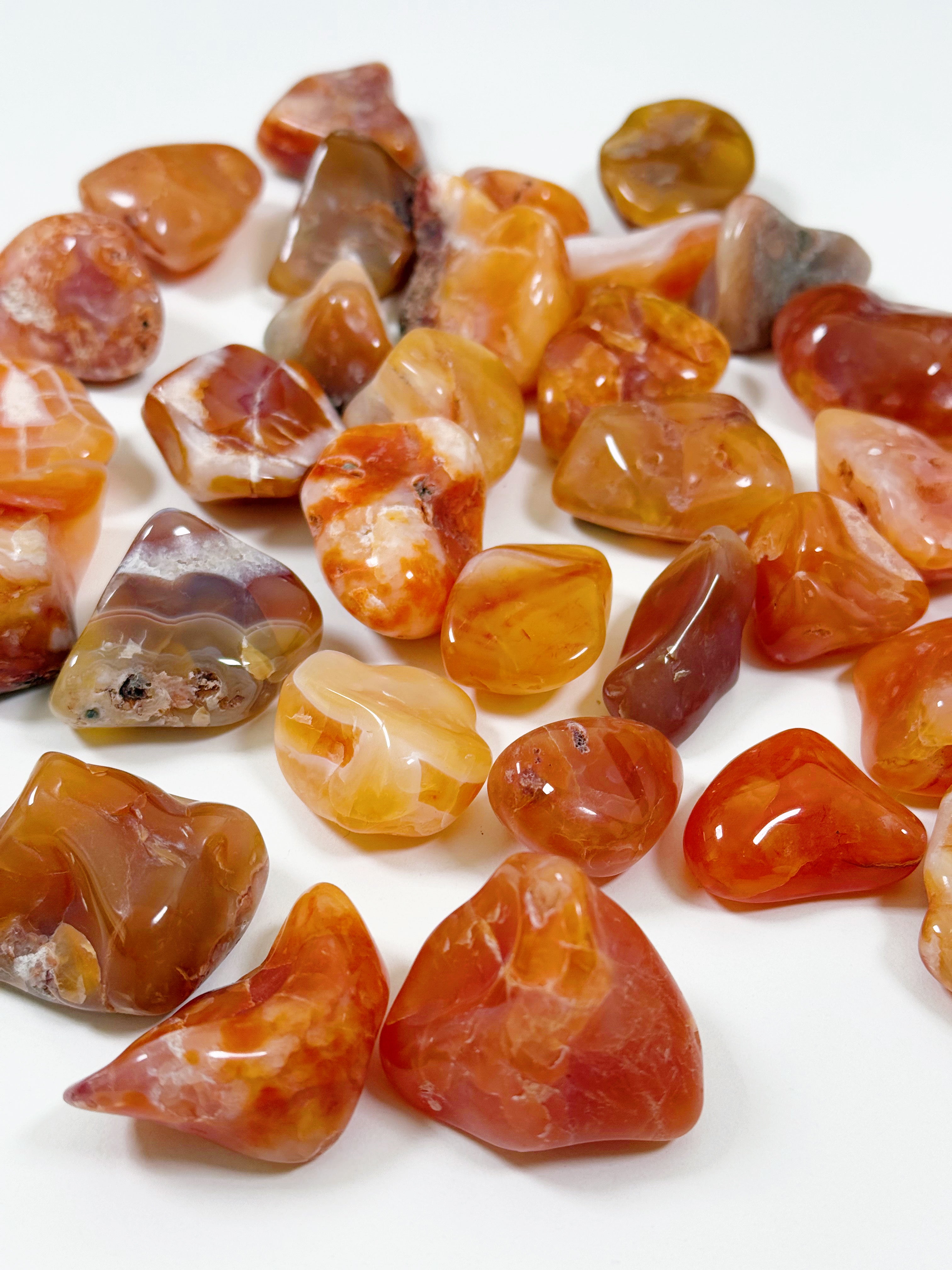 MALAWI CARNELIAN AGATE TUMBLE - career, carnelian, crystals for beginners, emotional support, fertility, Leo szn, pocket crystal, pocket stone, spring things, tumble, tumbled stone - The Mineral Maven