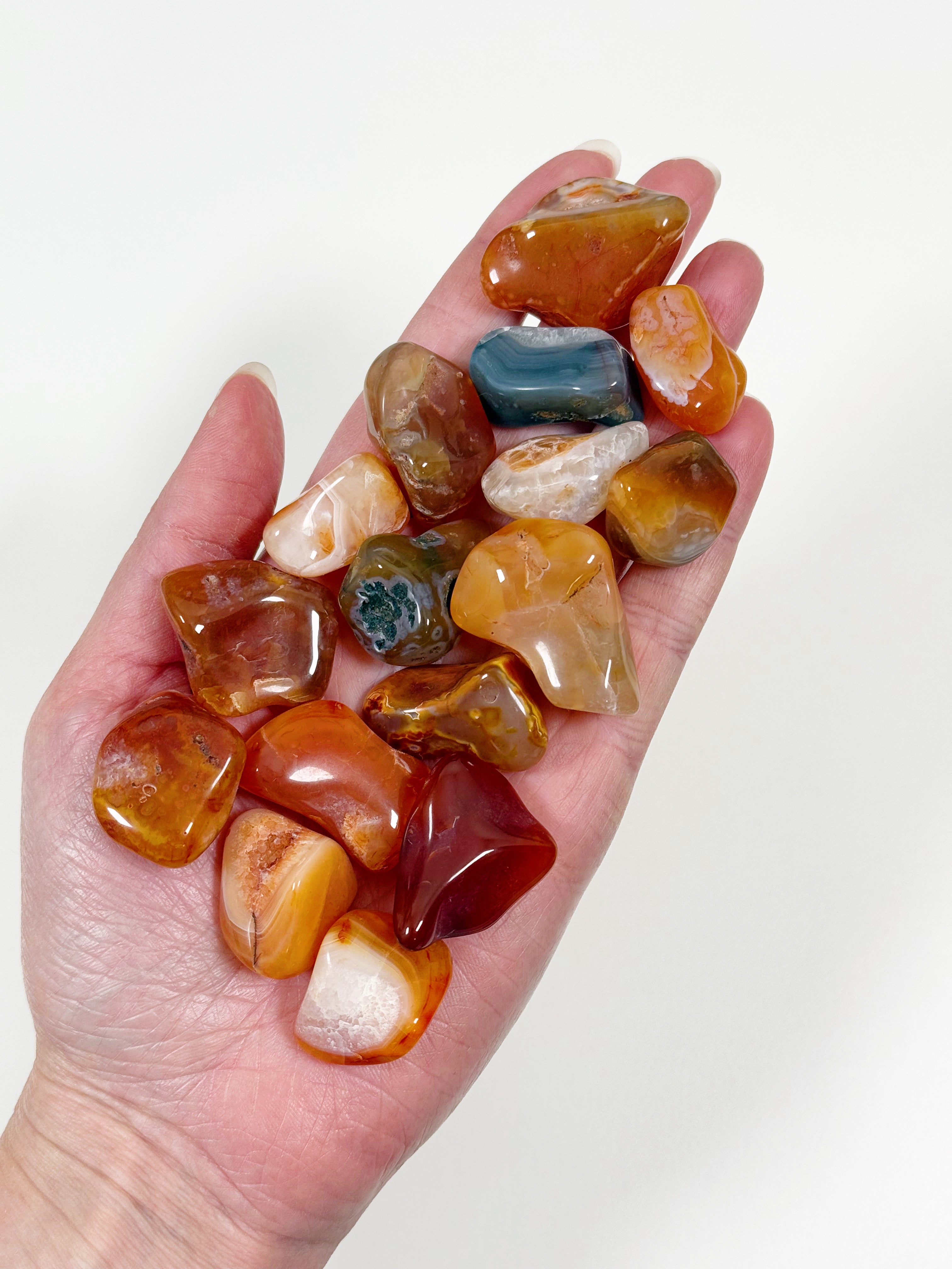 MALAWI CARNELIAN AGATE TUMBLE - career, carnelian, crystals for beginners, emotional support, fertility, Leo szn, pocket crystal, pocket stone, spring things, tumble, tumbled stone - The Mineral Maven