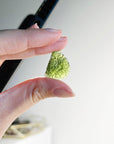 MOLDAVITE 2 - moldavite, tektite - The Mineral Maven