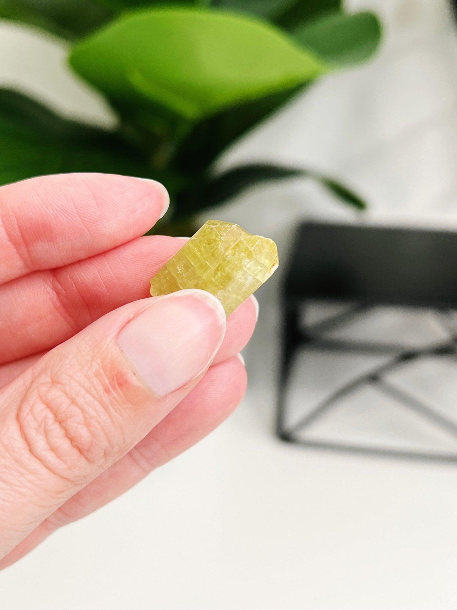 MOROCCAN APATITE - SINGLE CRYSTAL - 33 bday, apatite, Black Friday sale, bulk, end of year sale, focus gift bundle, golden apatite, green apatite, holiday sale, new year sale, pocket crystal, pocket crystals, pocket stone, raw crystal, raw stone, yellow apatite - The Mineral Maven