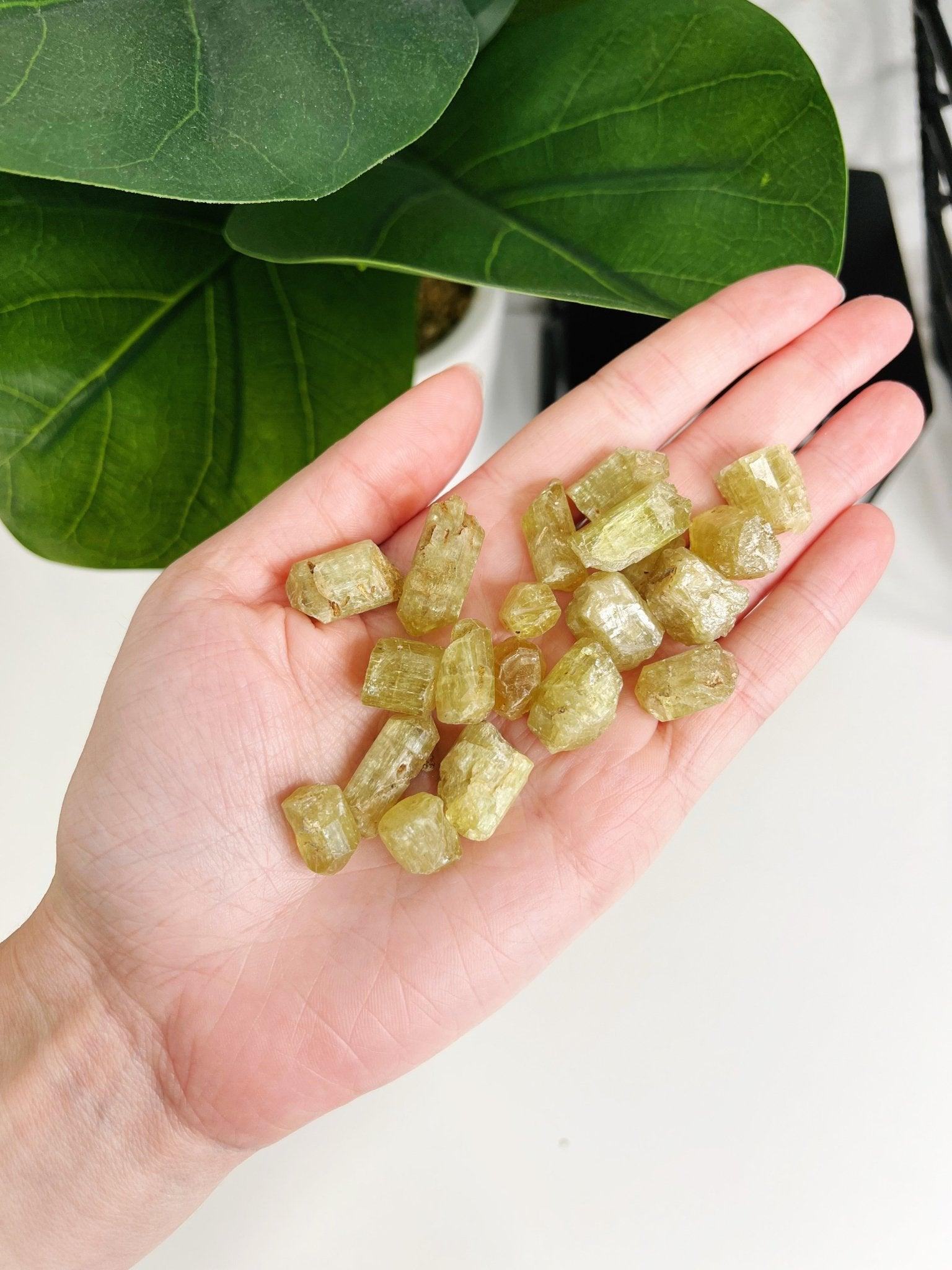 MOROCCAN APATITE - SINGLE CRYSTAL - 33 bday, apatite, Black Friday sale, bulk, end of year sale, focus gift bundle, golden apatite, green apatite, holiday sale, new year sale, pocket crystal, pocket crystals, pocket stone, raw crystal, raw stone, yellow apatite - The Mineral Maven