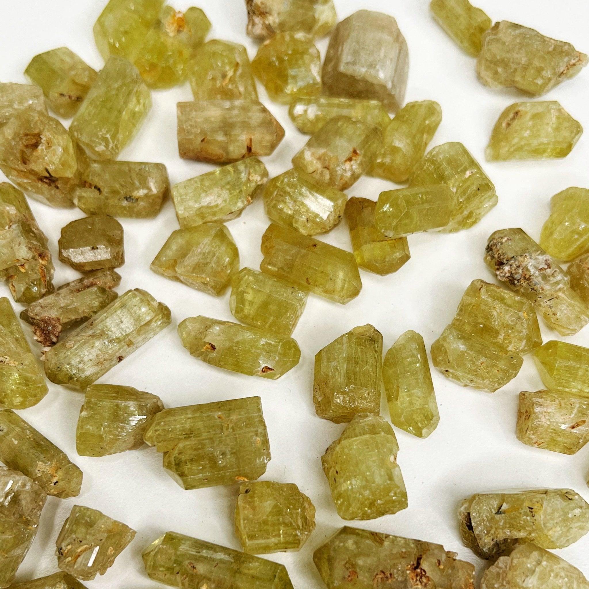 MOROCCAN APATITE - SINGLE CRYSTAL - 33 bday, apatite, Black Friday sale, bulk, end of year sale, focus gift bundle, golden apatite, green apatite, holiday sale, new year sale, pocket crystal, pocket crystals, pocket stone, raw crystal, raw stone, yellow apatite - The Mineral Maven