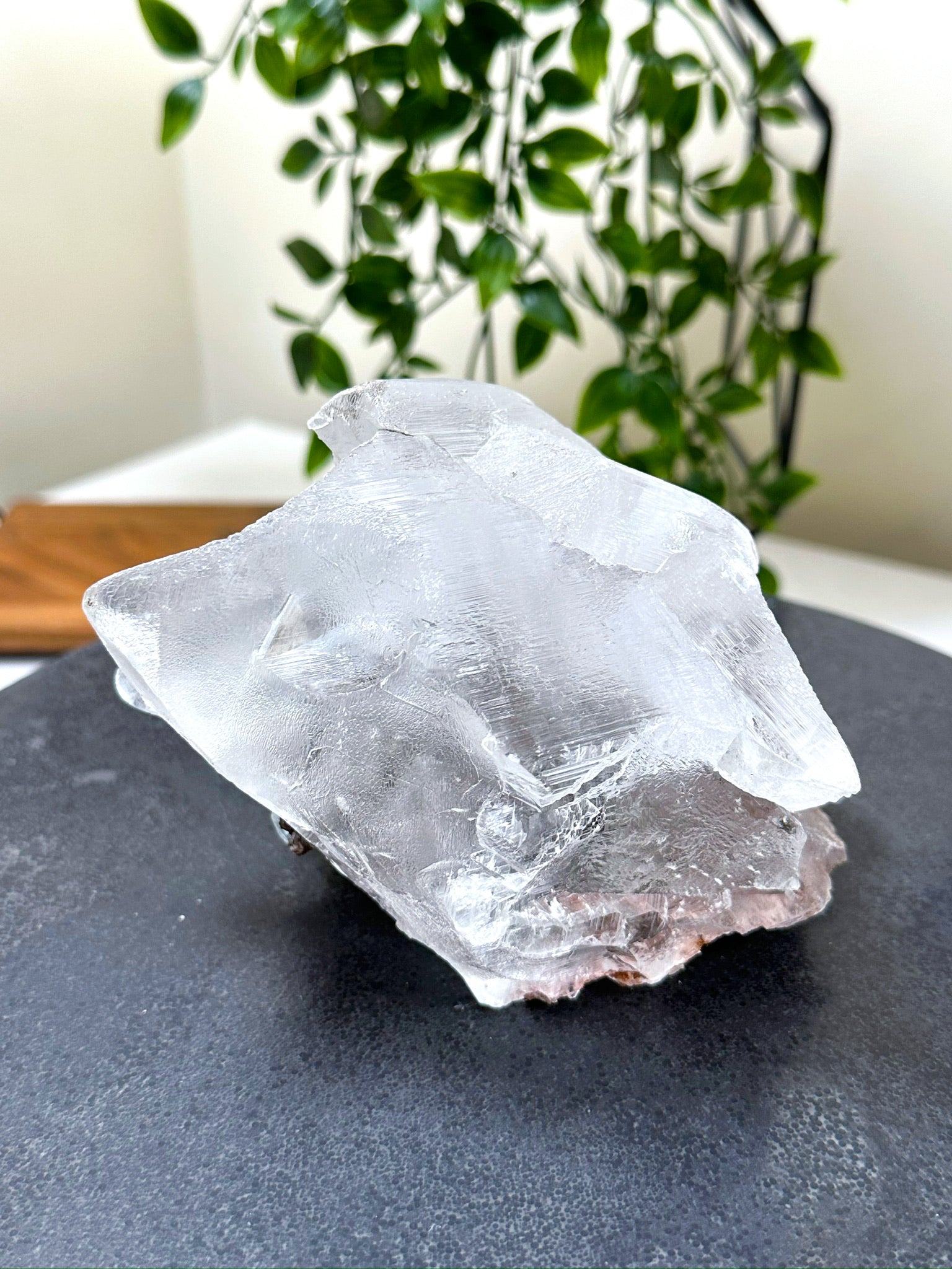 NAICA SELENITE 1 - naica mine, naica selenite, once in a blue moon, one of a kind, Recently added, selenite - The Mineral Maven