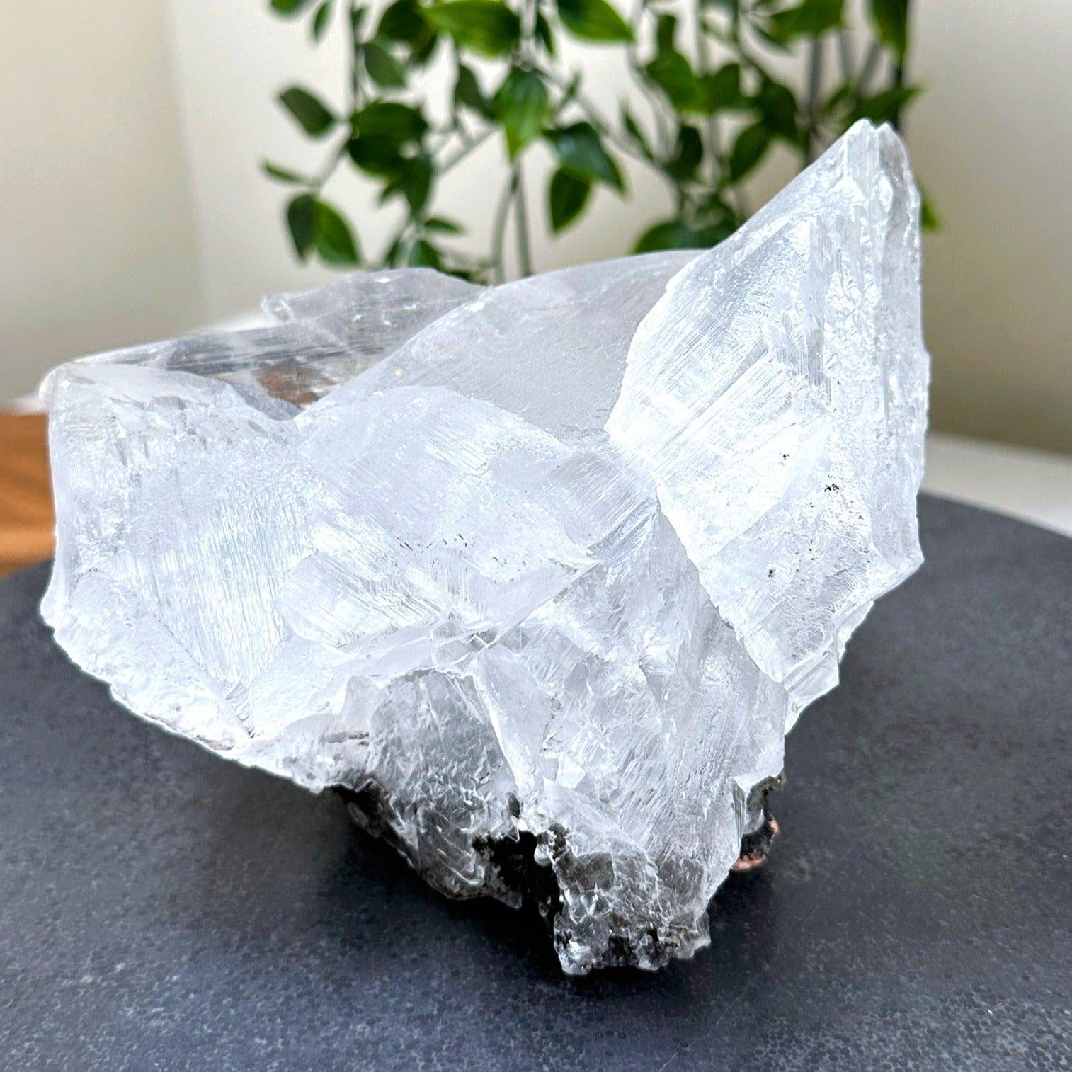 NAICA SELENITE 2 - naica mine, naica selenite, once in a blue moon, one of a kind, Recently added, selenite - The Mineral Maven