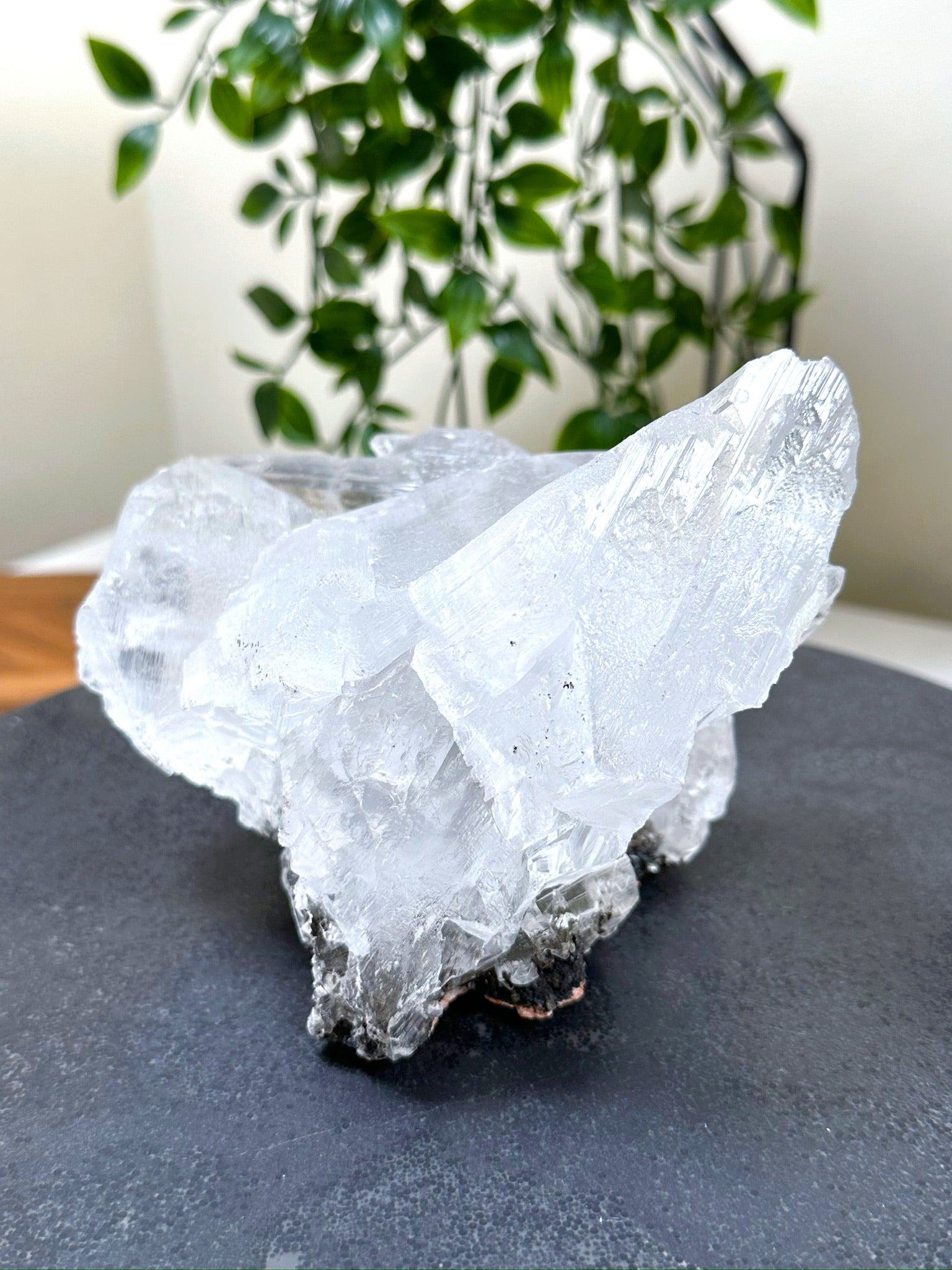 NAICA SELENITE 2 - naica mine, naica selenite, once in a blue moon, one of a kind, Recently added, selenite - The Mineral Maven