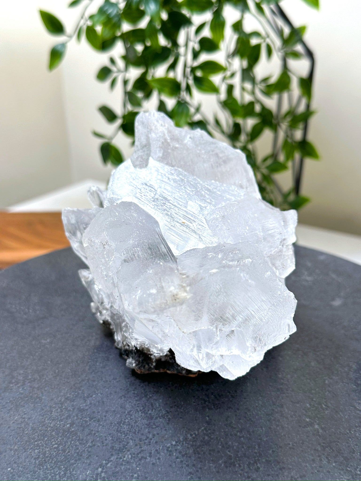 NAICA SELENITE 2 - naica mine, naica selenite, once in a blue moon, one of a kind, Recently added, selenite - The Mineral Maven