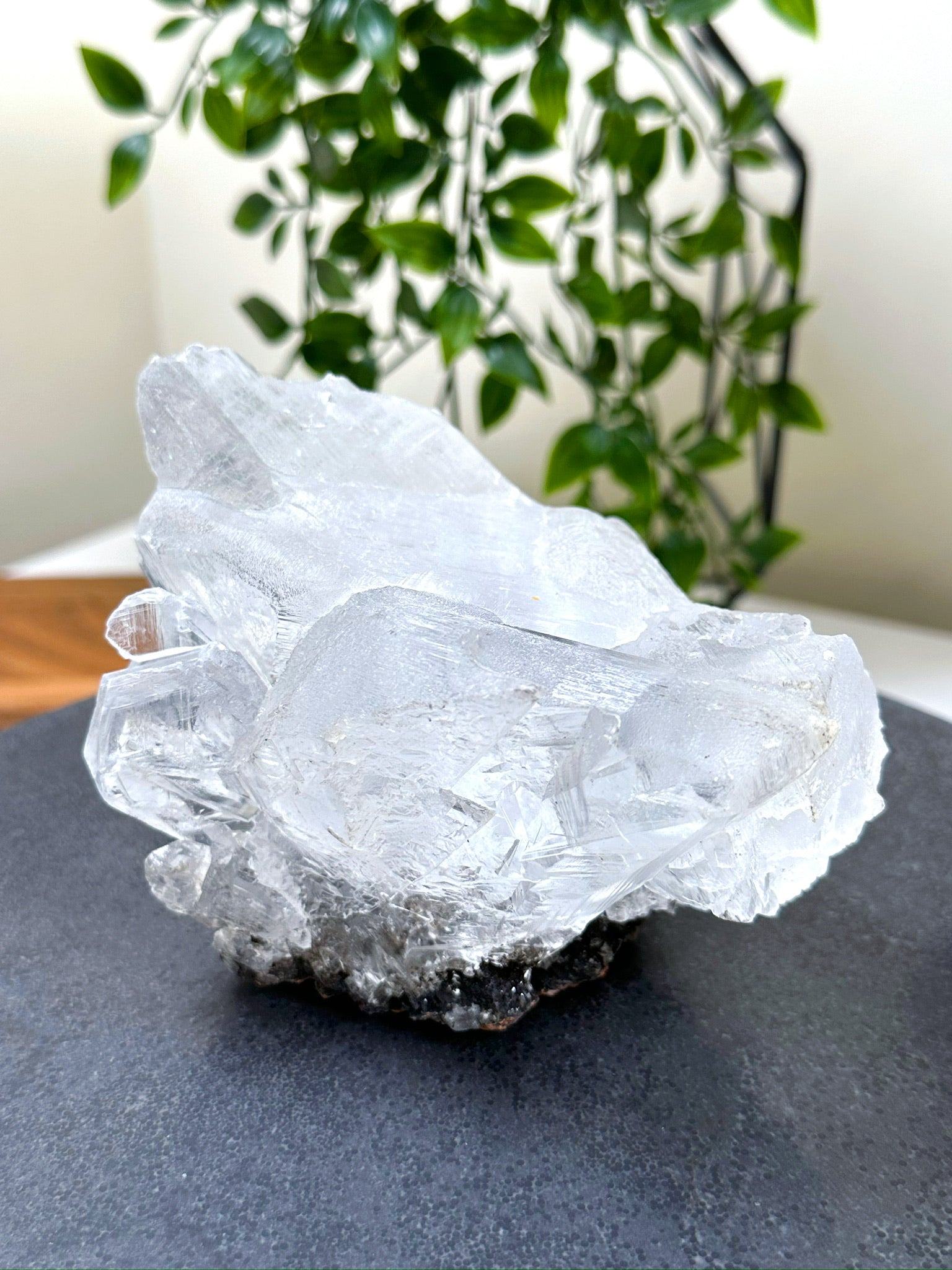 NAICA SELENITE 2 - naica mine, naica selenite, once in a blue moon, one of a kind, Recently added, selenite - The Mineral Maven