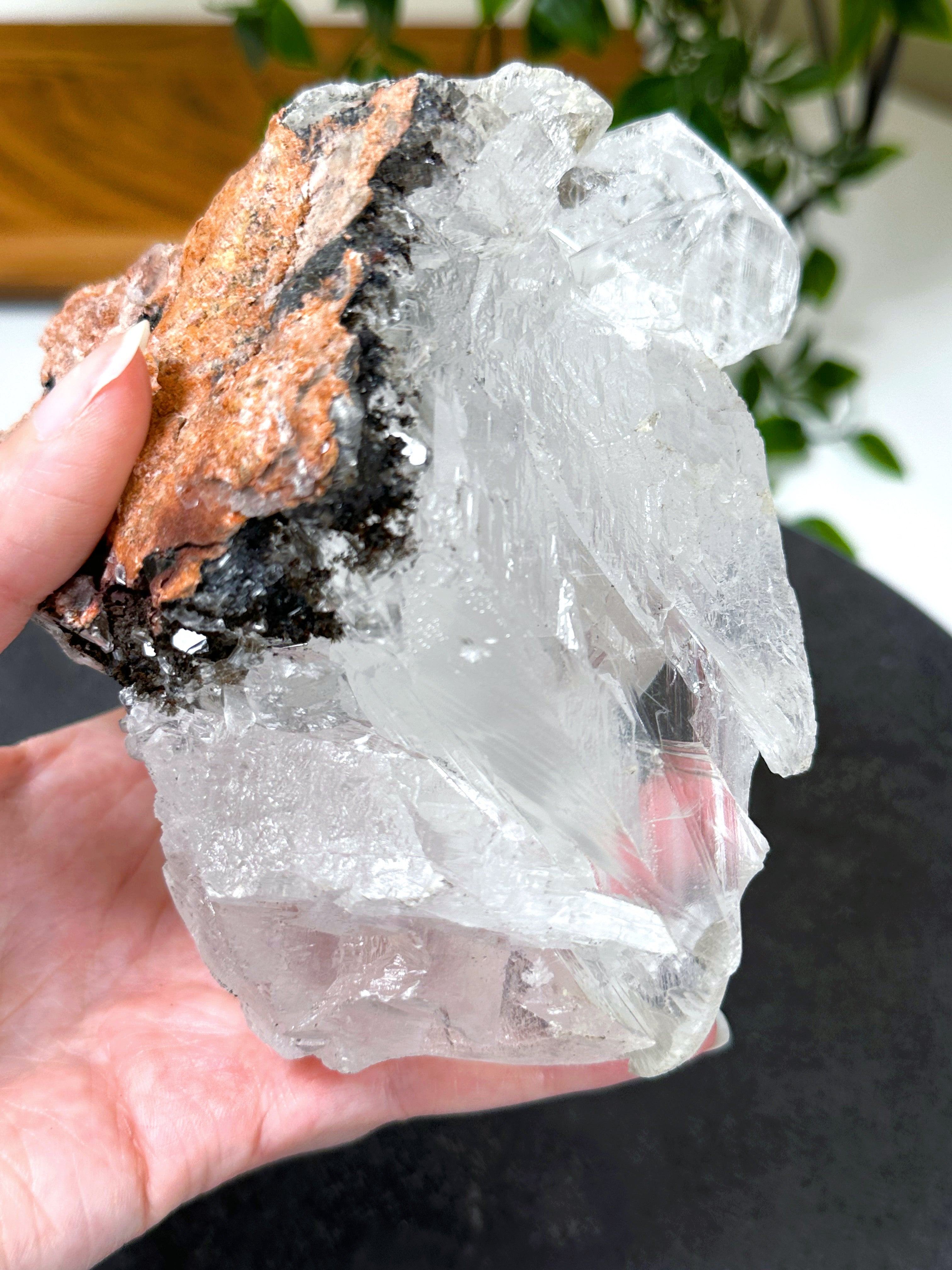 NAICA SELENITE 2 - naica mine, naica selenite, once in a blue moon, one of a kind, Recently added, selenite - The Mineral Maven