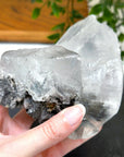 NAICA SELENITE 3 - naica mine, naica selenite, once in a blue moon, one of a kind, Recently added, selenite - The Mineral Maven