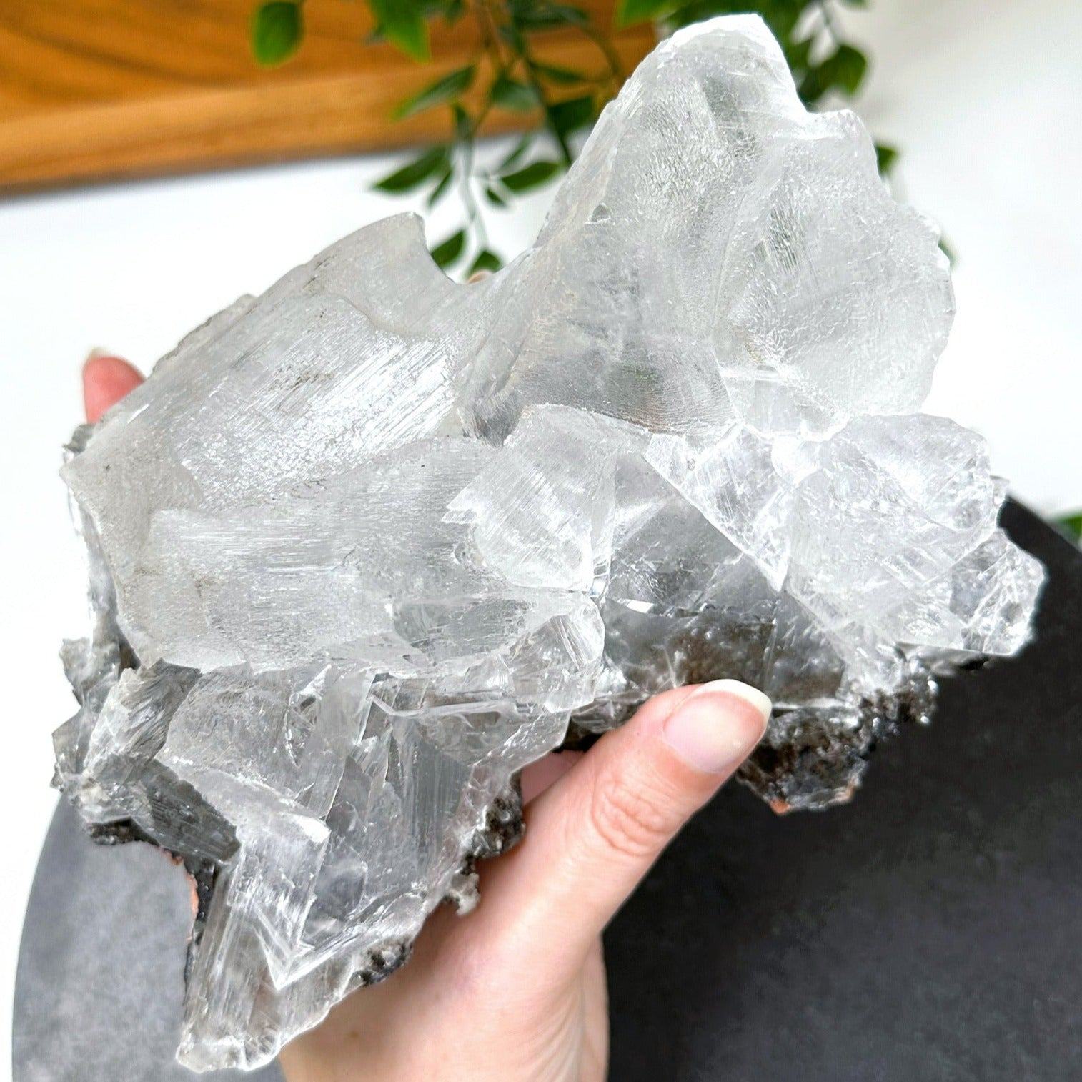 NAICA SELENITE 4 - naica mine, naica selenite, once in a blue moon, one of a kind, Recently added, selenite - The Mineral Maven