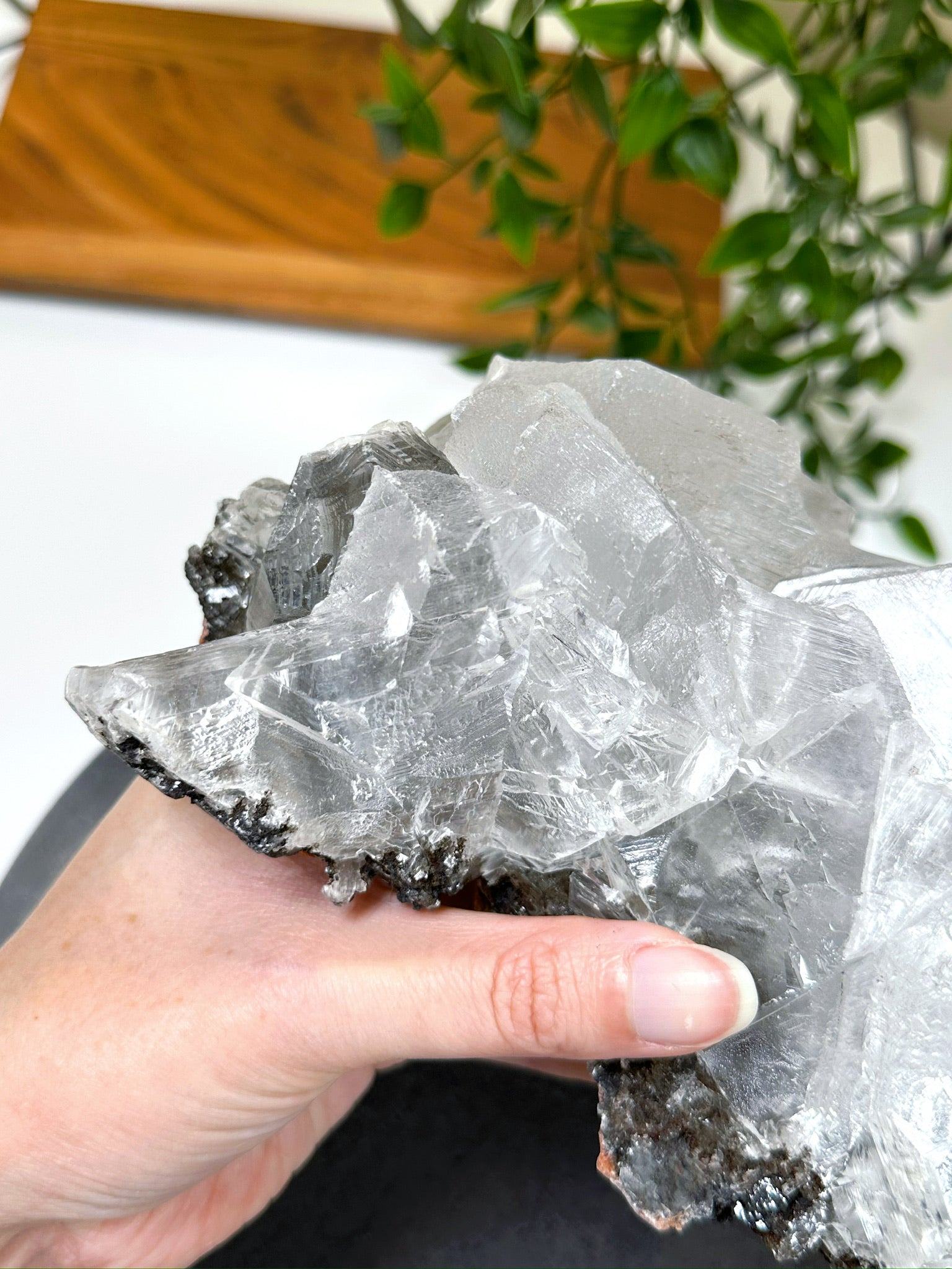NAICA SELENITE 4 - naica mine, naica selenite, once in a blue moon, one of a kind, Recently added, selenite - The Mineral Maven