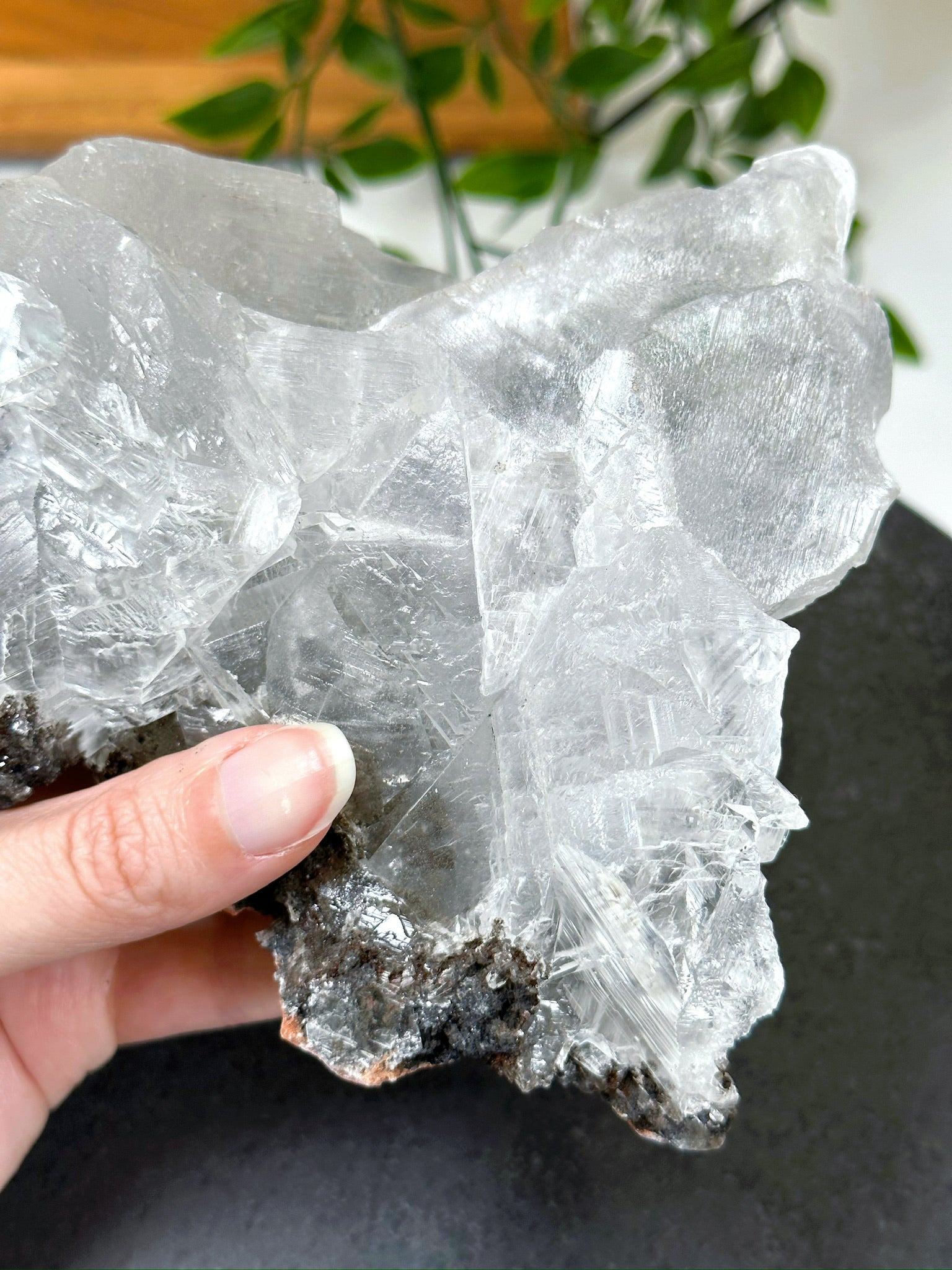 NAICA SELENITE 4 - naica mine, naica selenite, once in a blue moon, one of a kind, Recently added, selenite - The Mineral Maven