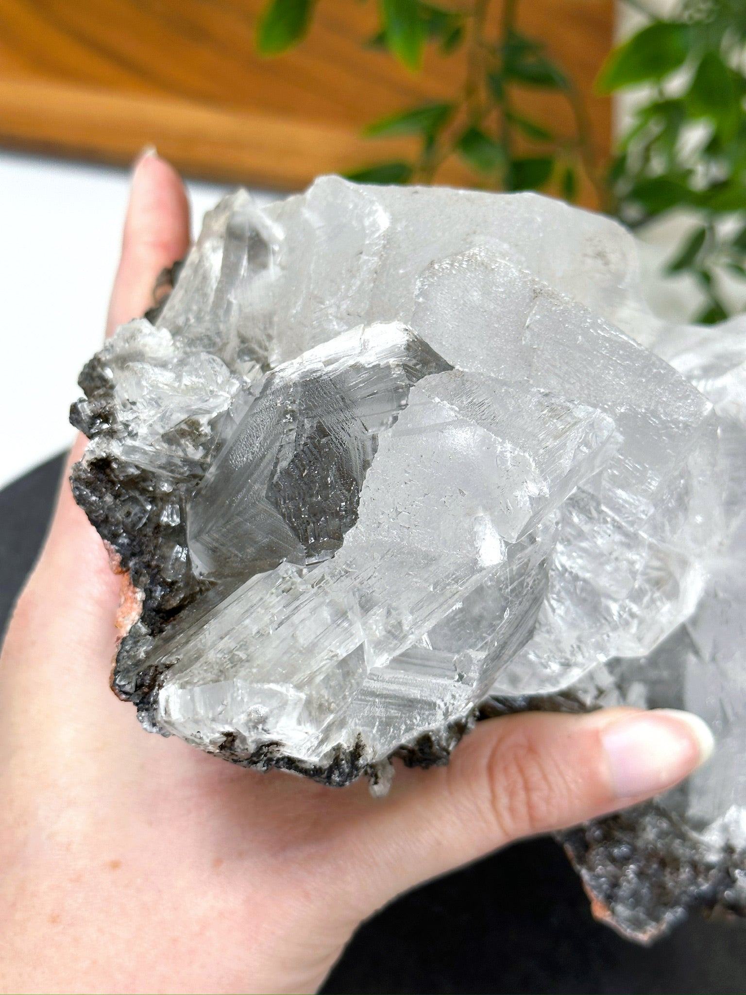 NAICA SELENITE 4 - naica mine, naica selenite, once in a blue moon, one of a kind, Recently added, selenite - The Mineral Maven