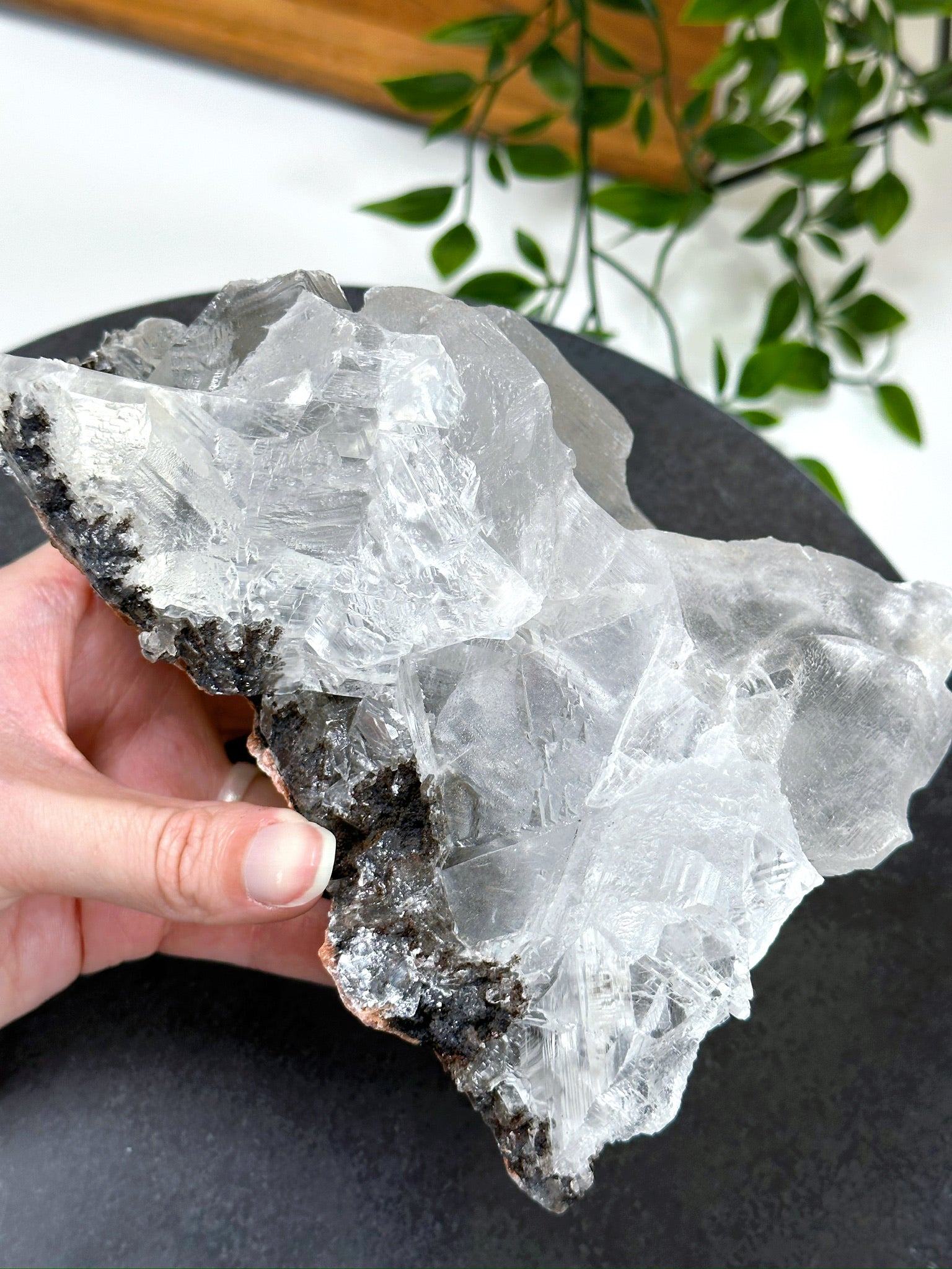 NAICA SELENITE 4 - naica mine, naica selenite, once in a blue moon, one of a kind, Recently added, selenite - The Mineral Maven