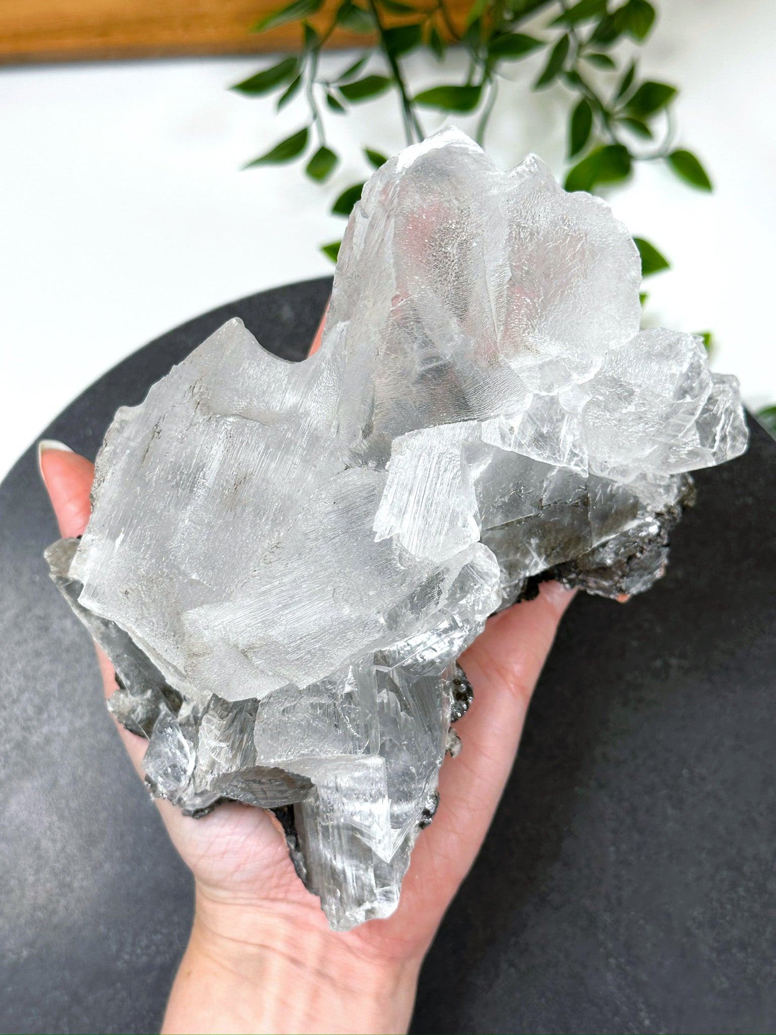 NAICA SELENITE 4 - naica mine, naica selenite, once in a blue moon, one of a kind, Recently added, selenite - The Mineral Maven