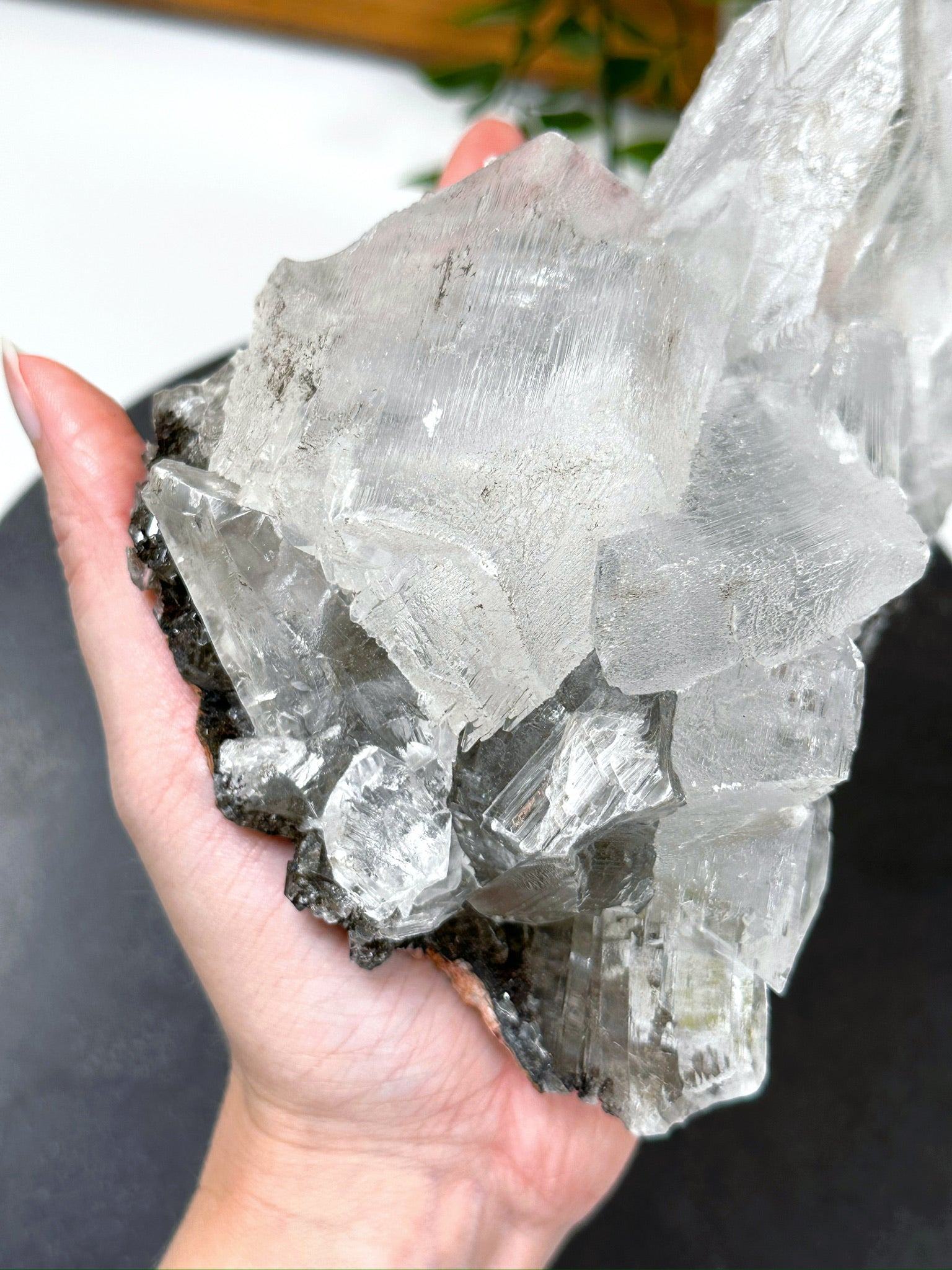 NAICA SELENITE 4 - naica mine, naica selenite, once in a blue moon, one of a kind, Recently added, selenite - The Mineral Maven