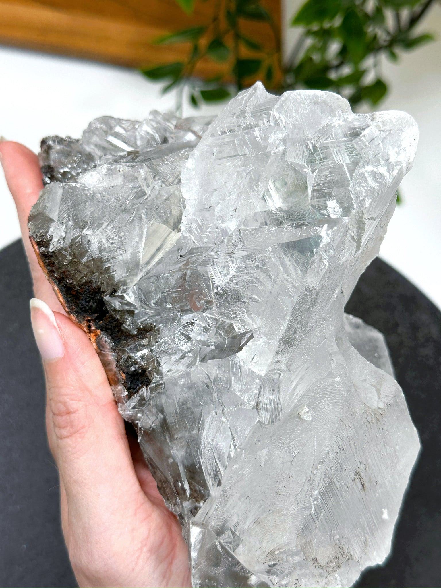 NAICA SELENITE 4 - naica mine, naica selenite, once in a blue moon, one of a kind, Recently added, selenite - The Mineral Maven