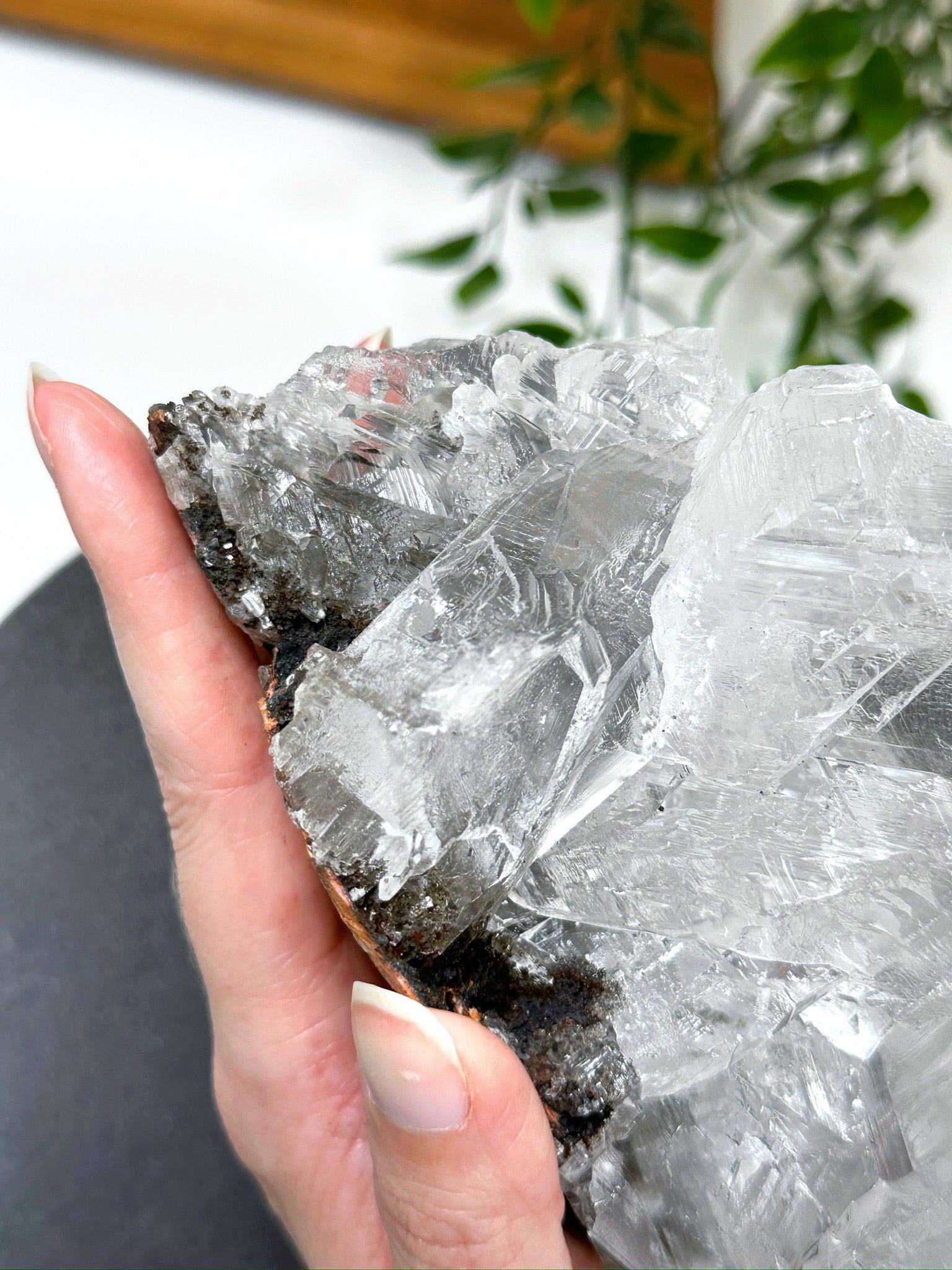 NAICA SELENITE 4 - naica mine, naica selenite, once in a blue moon, one of a kind, Recently added, selenite - The Mineral Maven