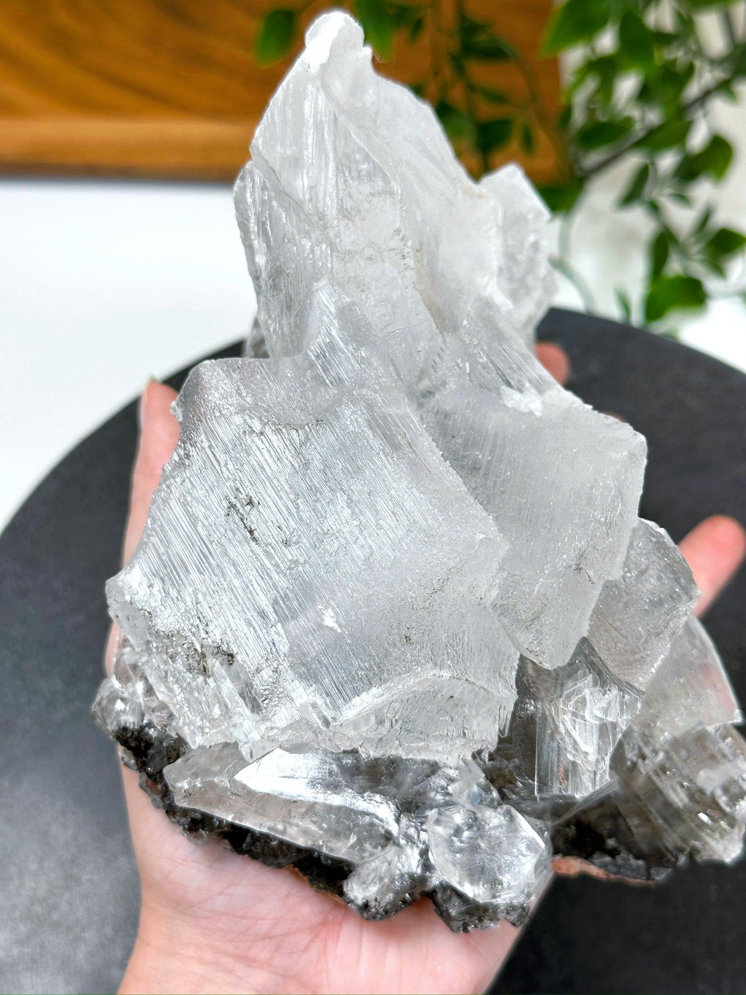 NAICA SELENITE 4 - naica mine, naica selenite, once in a blue moon, one of a kind, Recently added, selenite - The Mineral Maven
