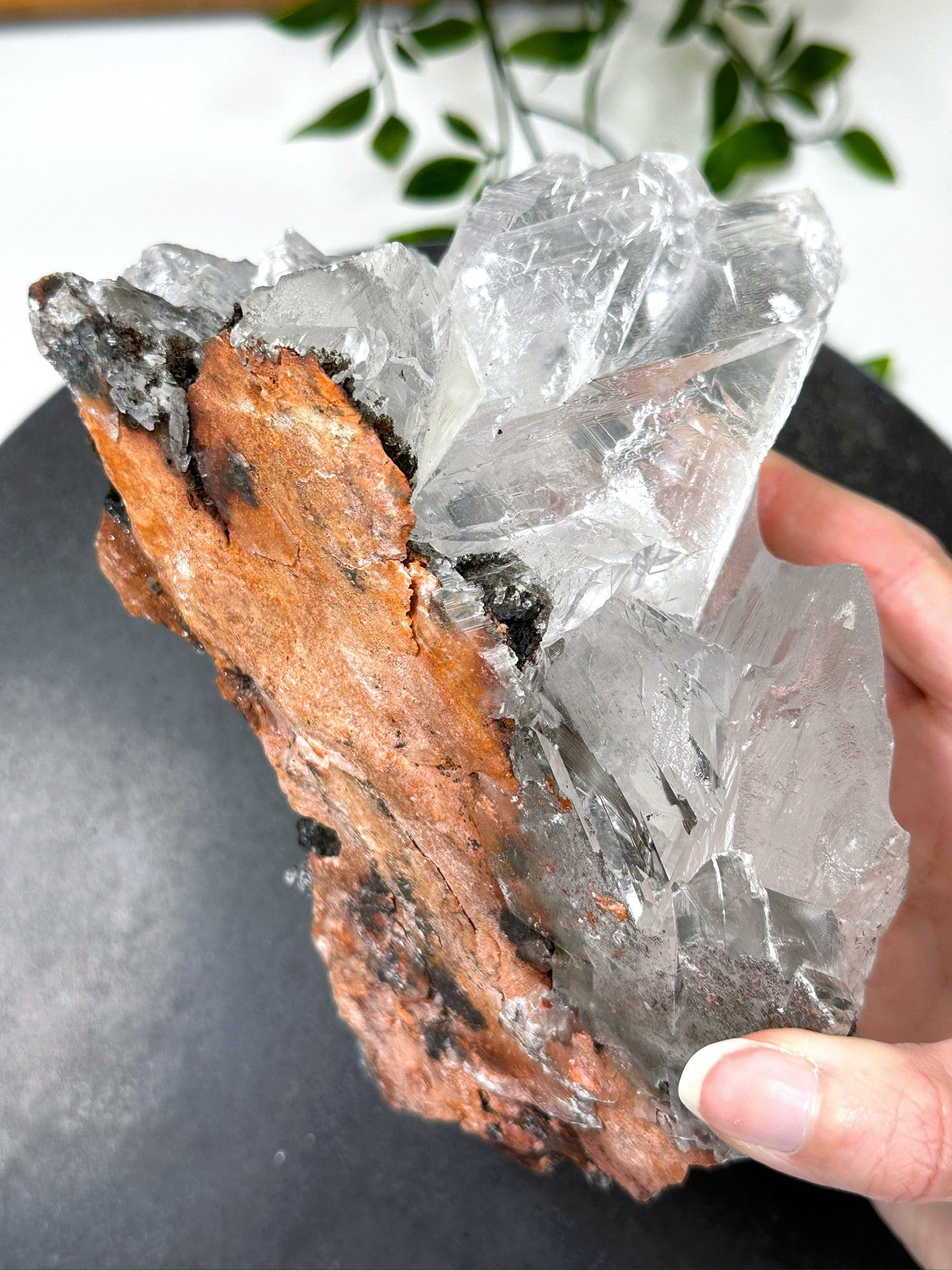 NAICA SELENITE 4 - naica mine, naica selenite, once in a blue moon, one of a kind, Recently added, selenite - The Mineral Maven