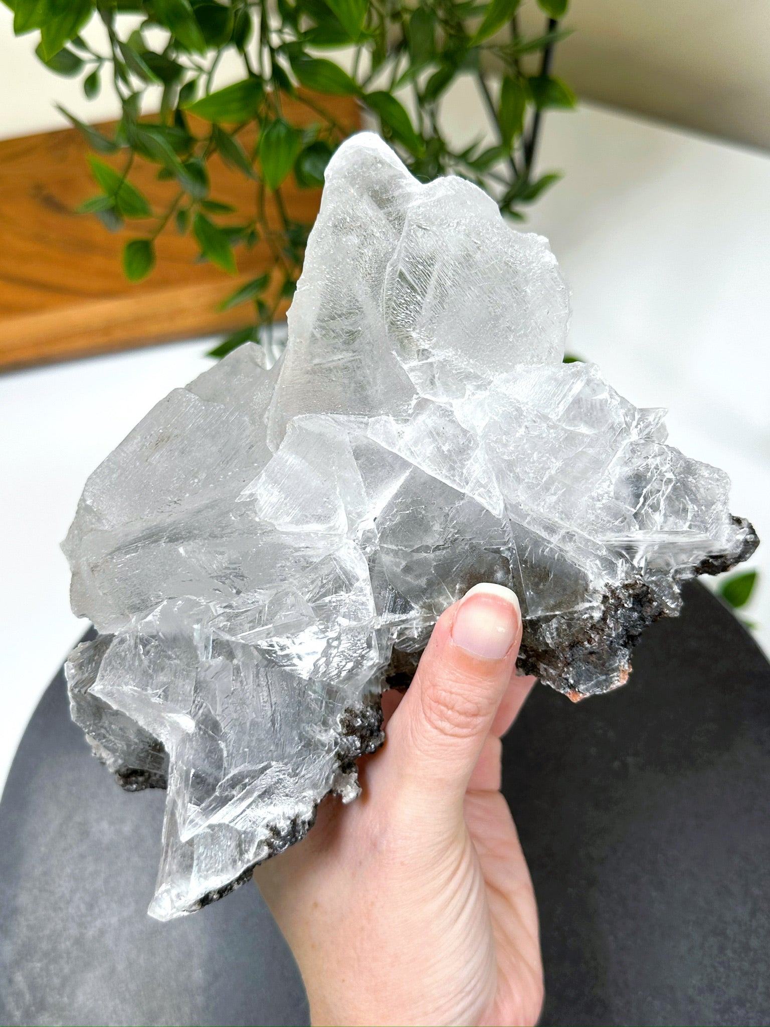 NAICA SELENITE 4 - naica mine, naica selenite, once in a blue moon, one of a kind, Recently added, selenite - The Mineral Maven