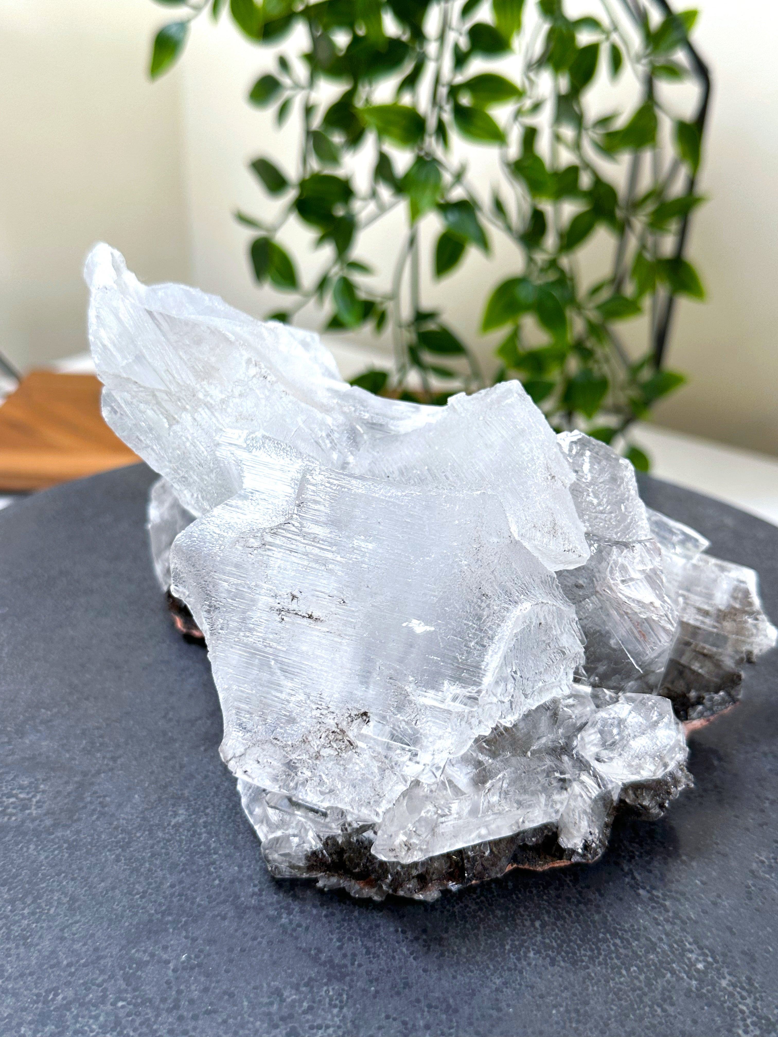 NAICA SELENITE 4 - naica mine, naica selenite, once in a blue moon, one of a kind, Recently added, selenite - The Mineral Maven