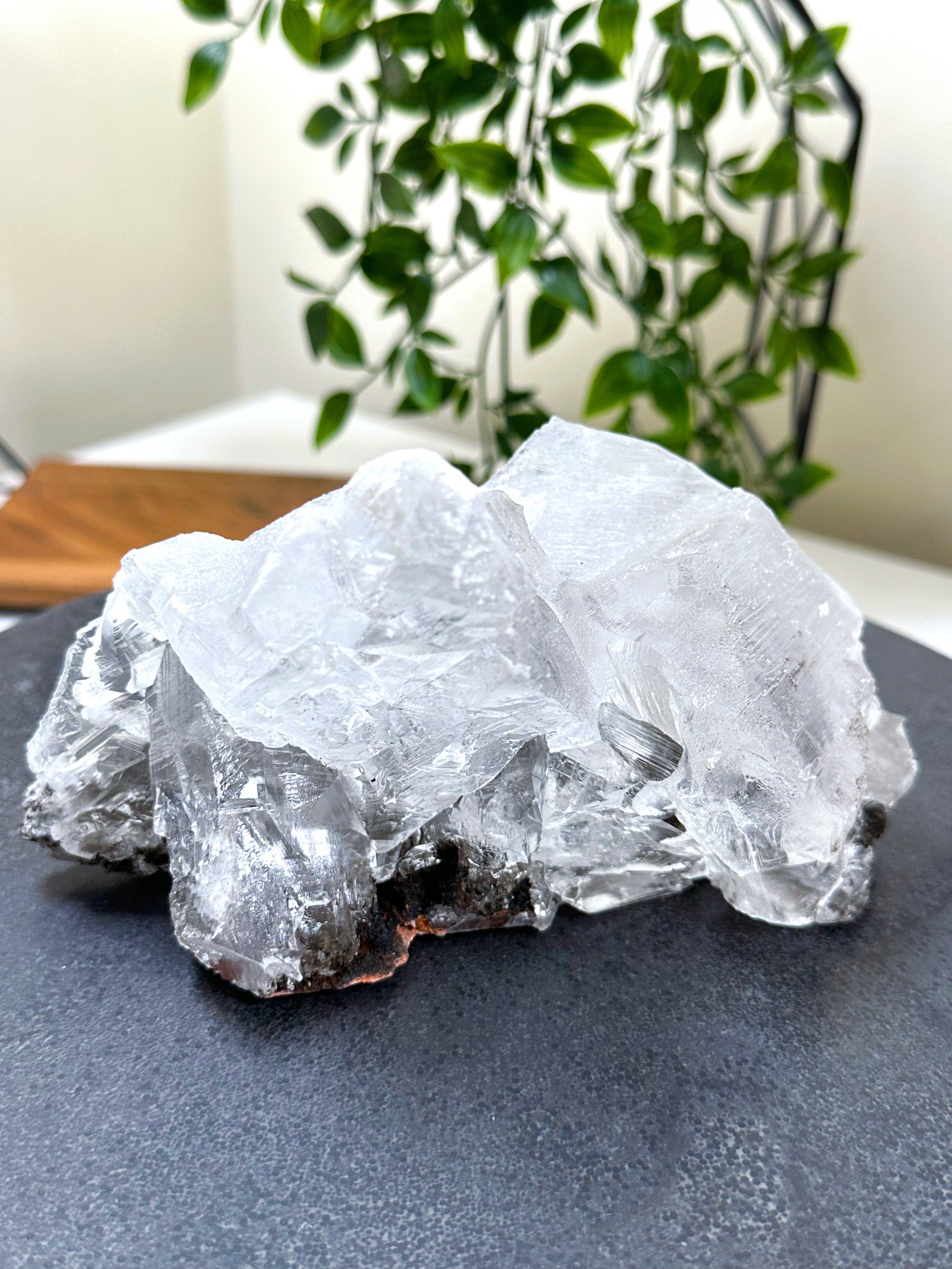 NAICA SELENITE 4 - naica mine, naica selenite, once in a blue moon, one of a kind, Recently added, selenite - The Mineral Maven