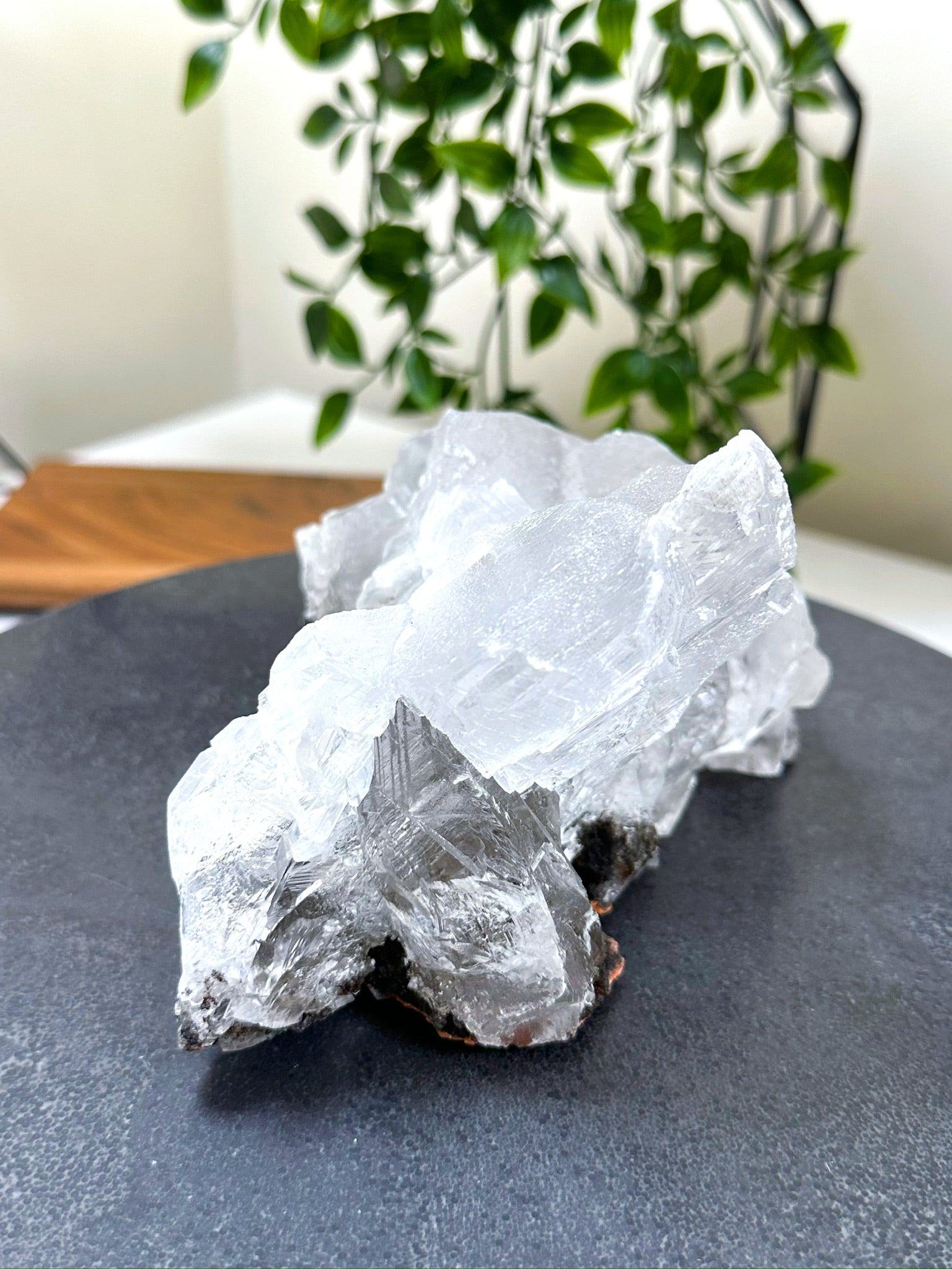 NAICA SELENITE 4 - naica mine, naica selenite, once in a blue moon, one of a kind, Recently added, selenite - The Mineral Maven