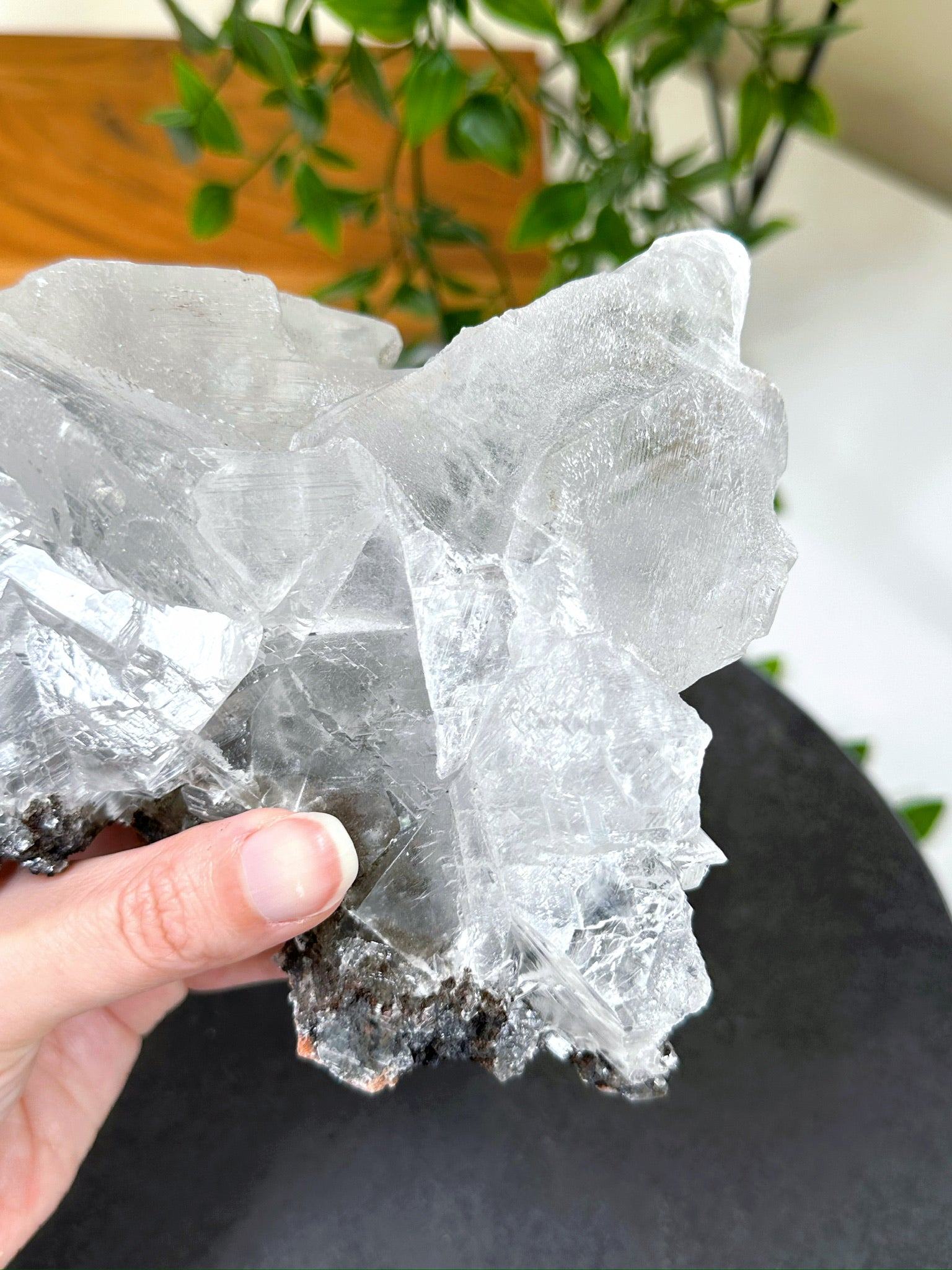 NAICA SELENITE 4 - naica mine, naica selenite, once in a blue moon, one of a kind, Recently added, selenite - The Mineral Maven