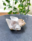 NAICA SELENITE 7 - naica mine, naica selenite, once in a blue moon, one of a kind, Recently added, selenite - The Mineral Maven